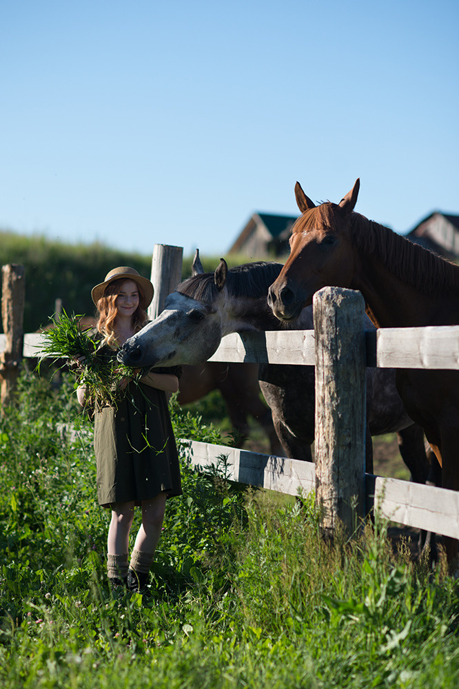 Лето. Люпины. Свадебный фотограф Алёна Замотаева