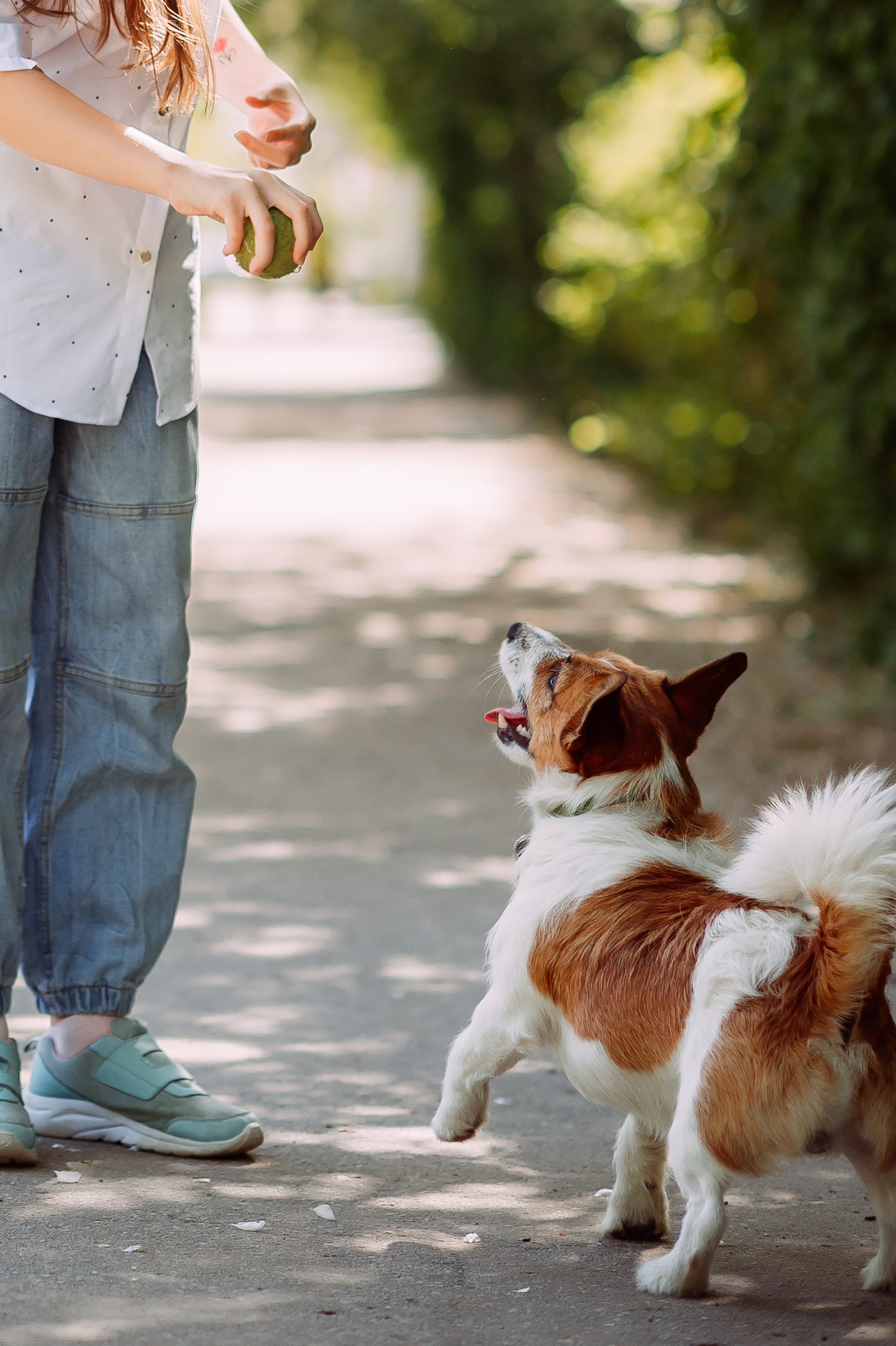 Весенняя прогулка. Свадебный фотограф Алёна Замотаева