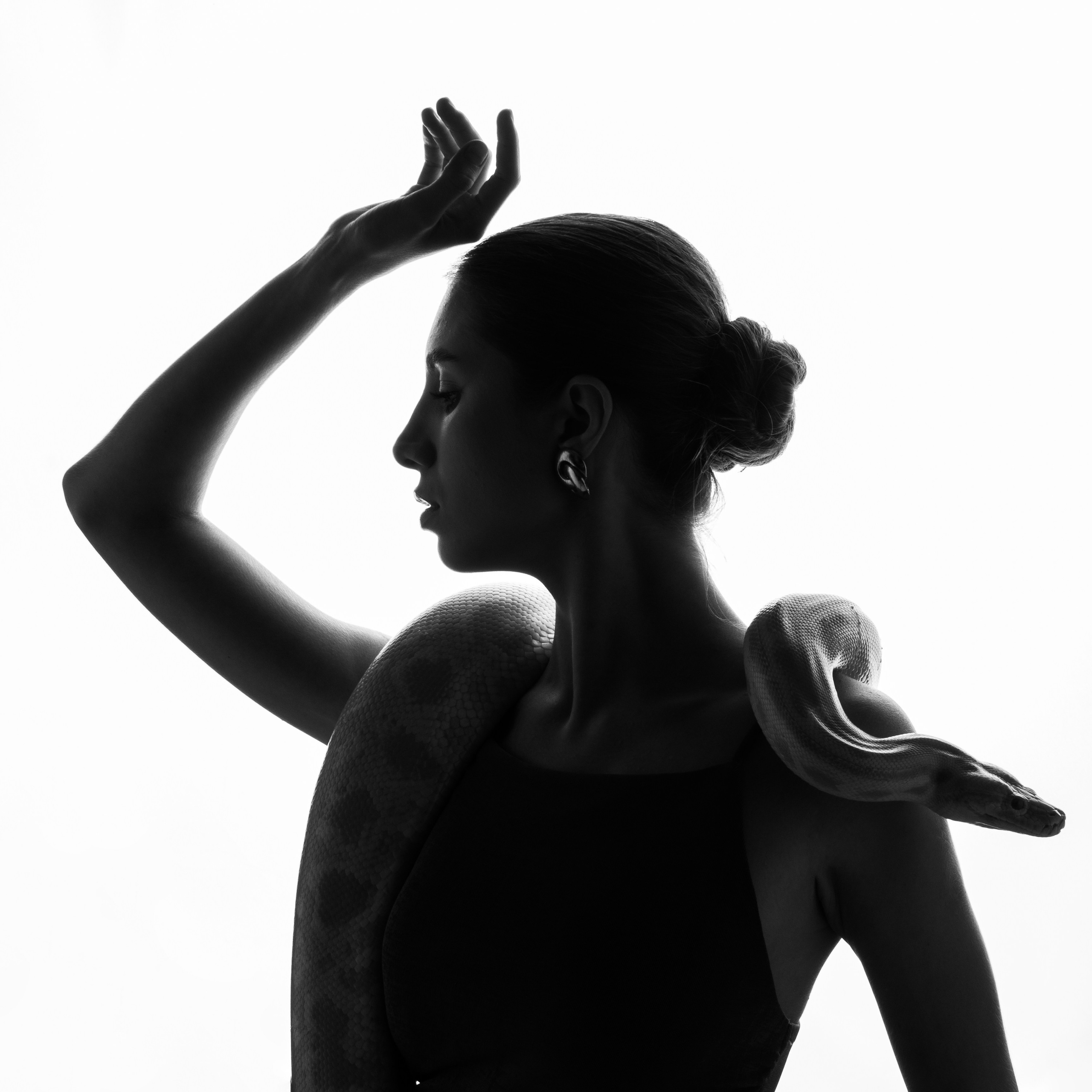 Силуэт девушки, на ее шее уютно устроился большой желтый змей (питон)