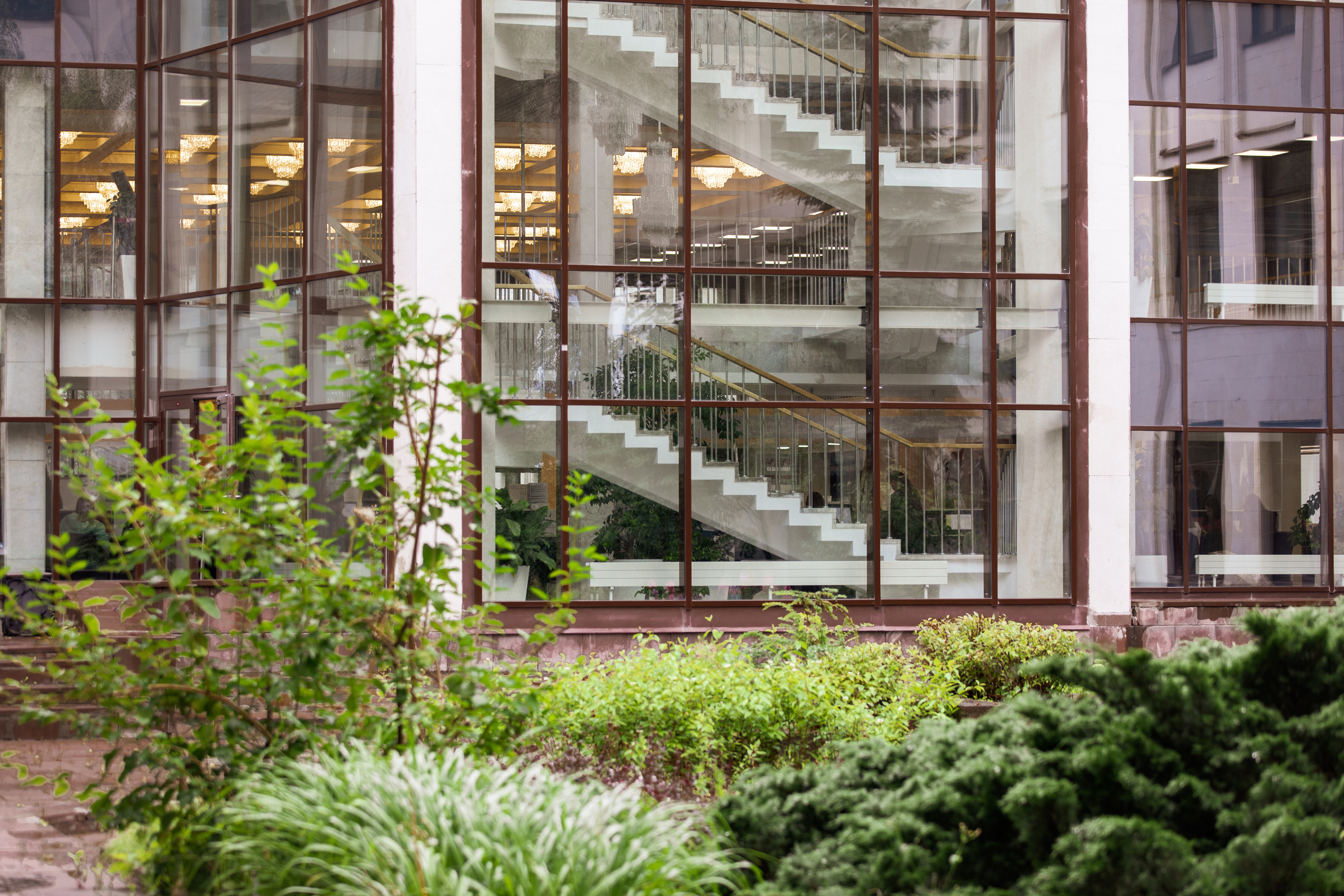 Виды Академии. Фотограф в Москве Даша Зуева