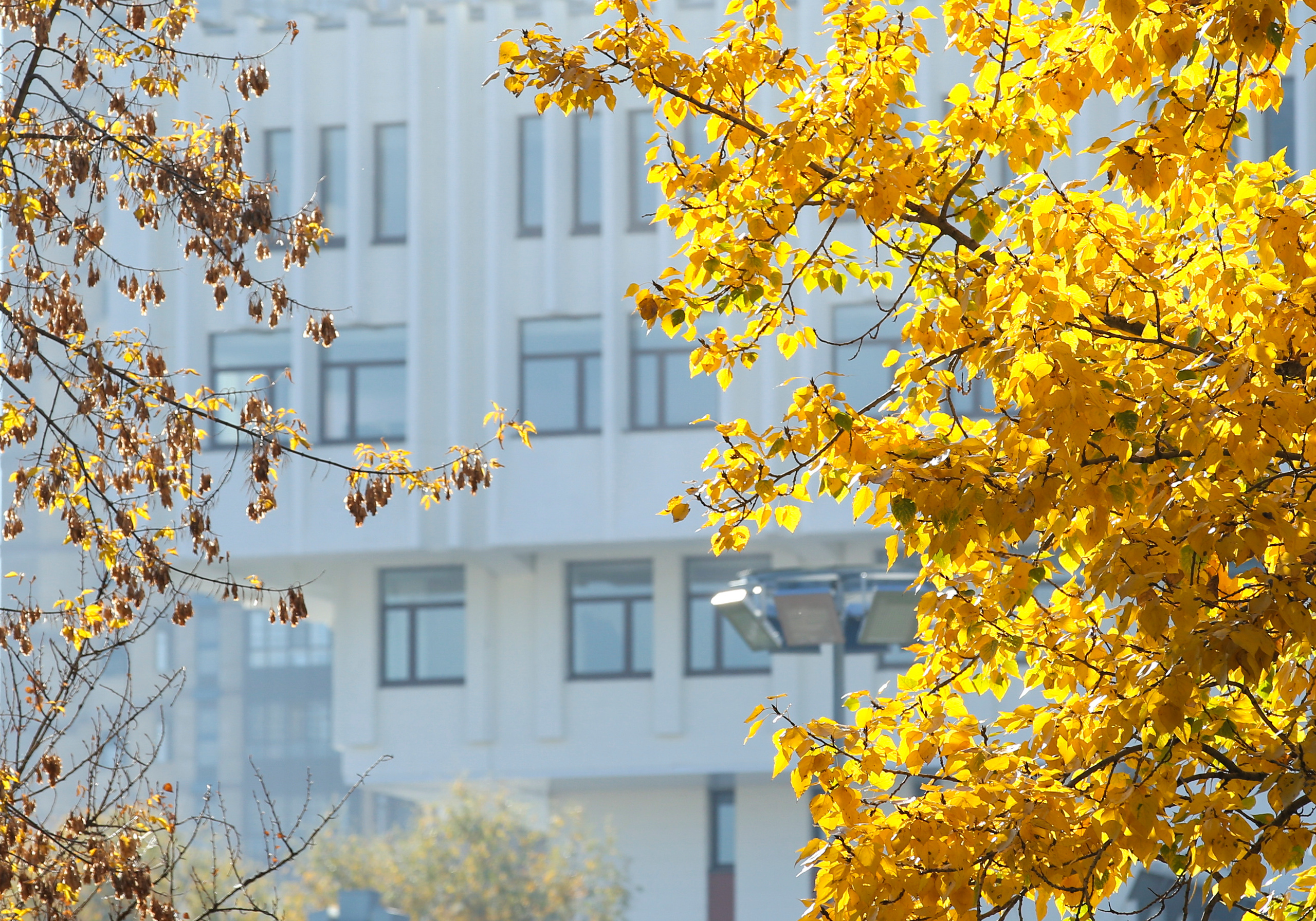 Виды Академии. Фотограф в Москве Даша Зуева