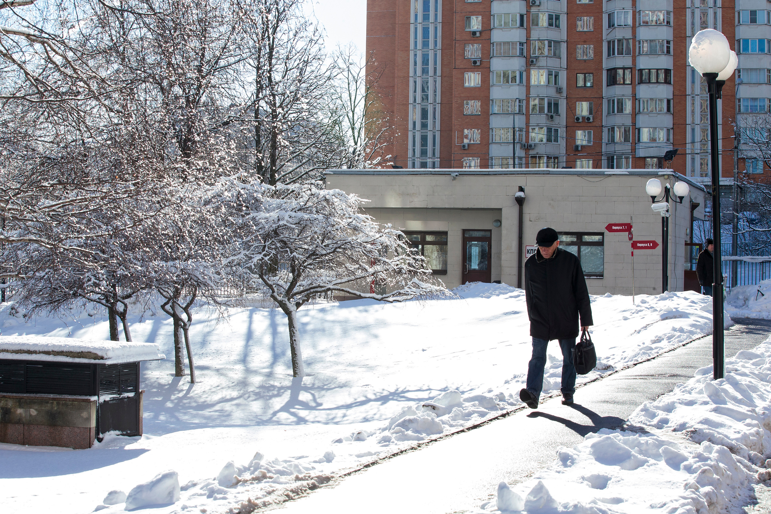 Виды Академии. Фотограф в Москве Даша Зуева