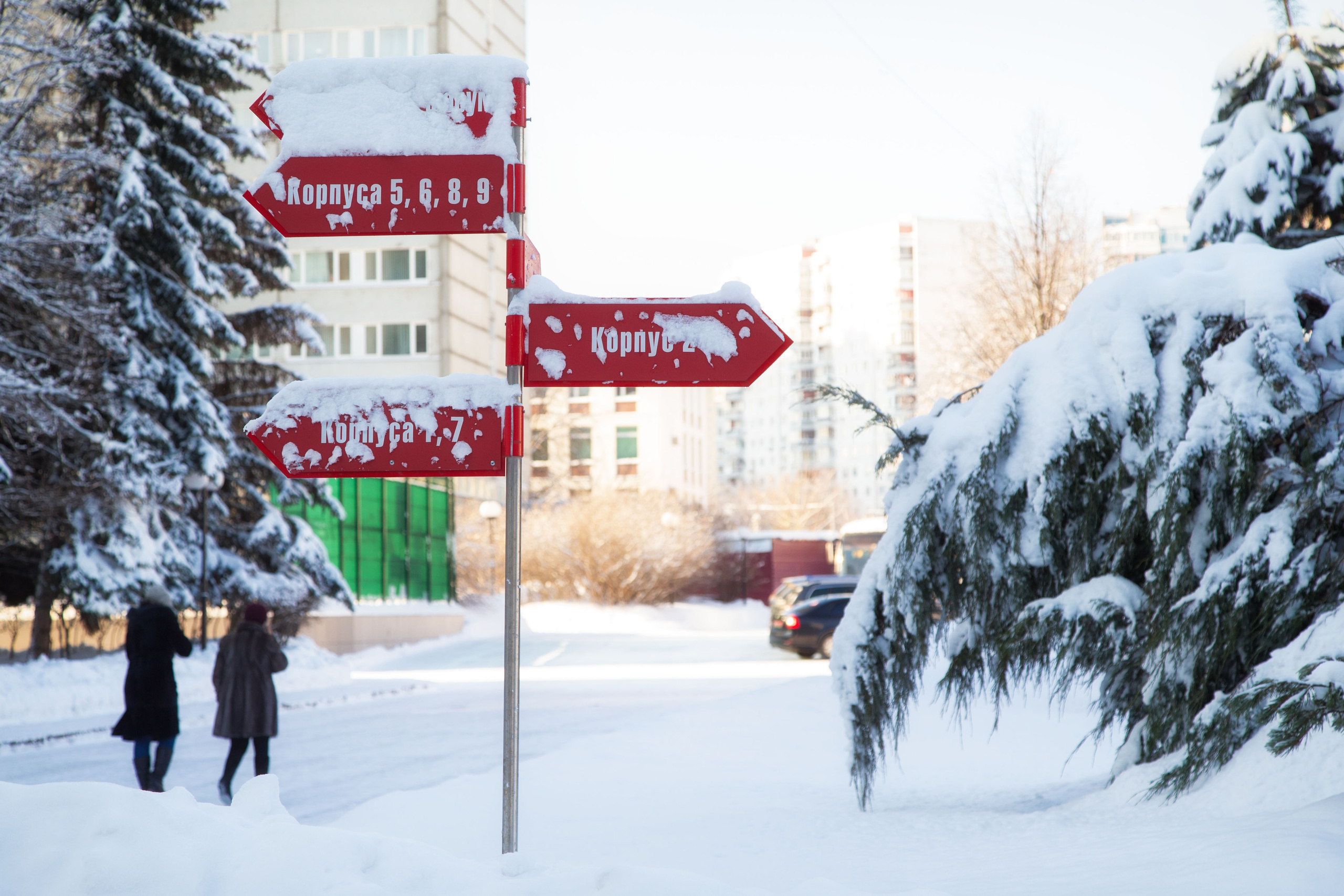 Виды Академии. Фотограф в Москве Даша Зуева