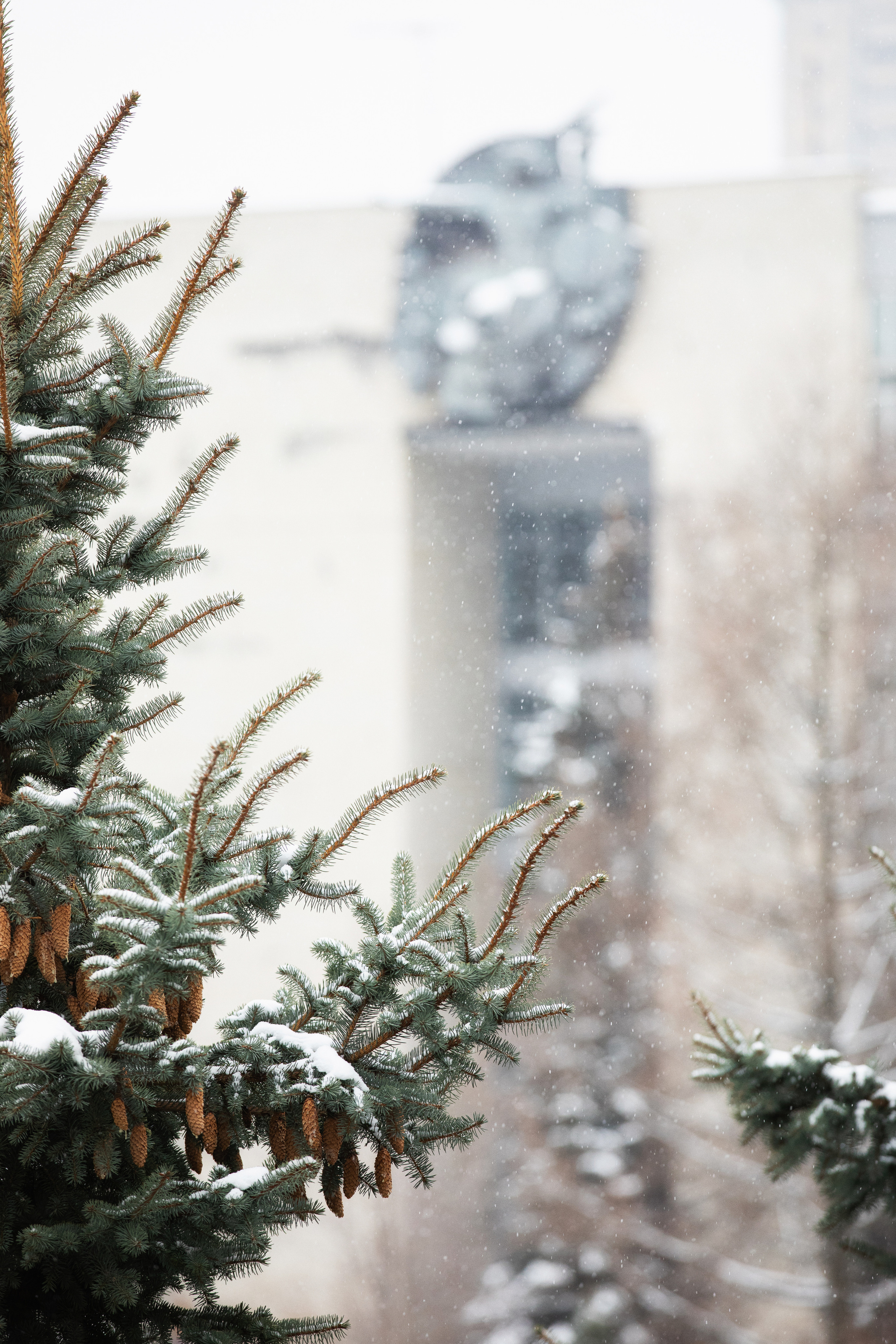 Виды Академии. Фотограф в Москве Даша Зуева