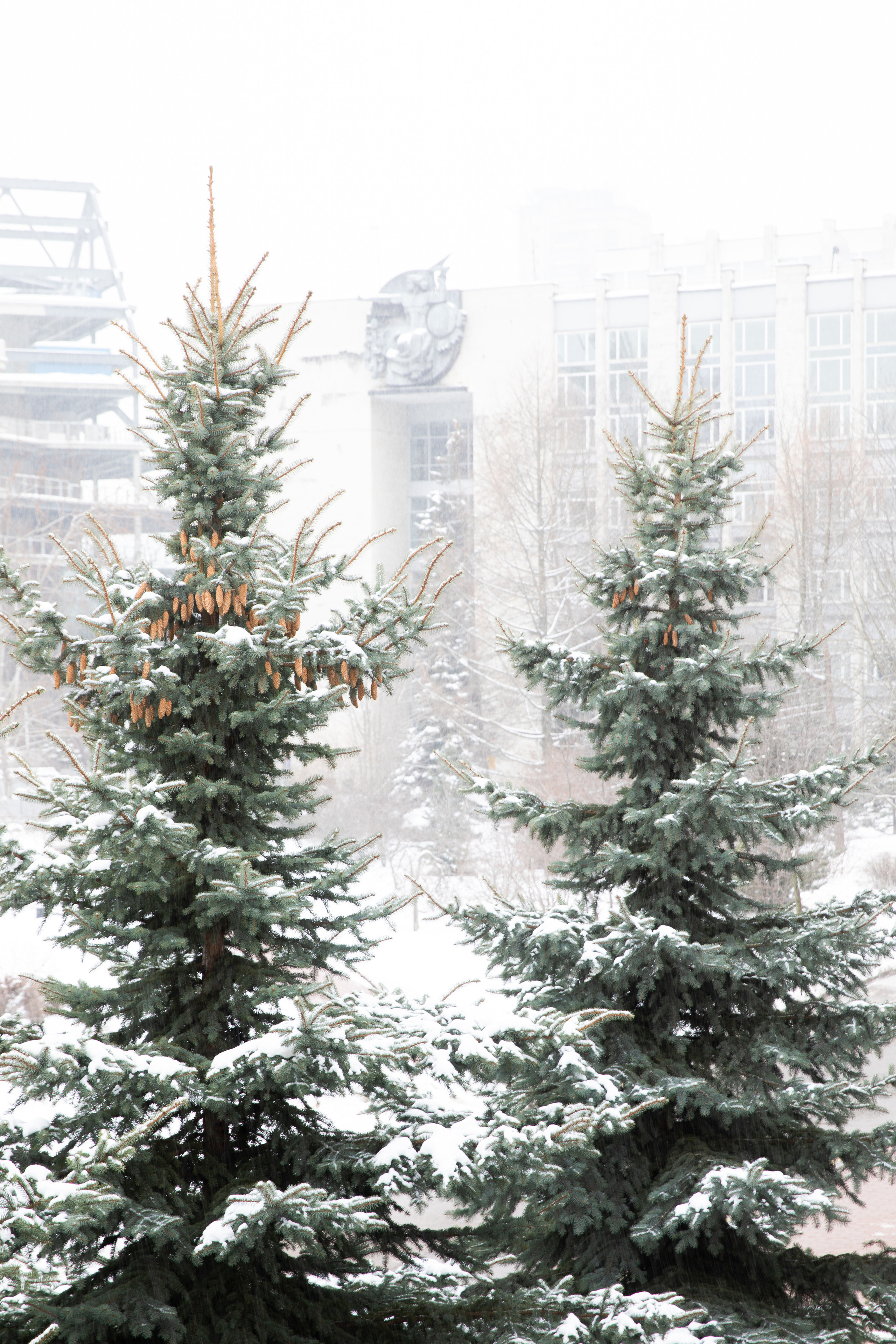 Виды Академии. Фотограф в Москве Даша Зуева