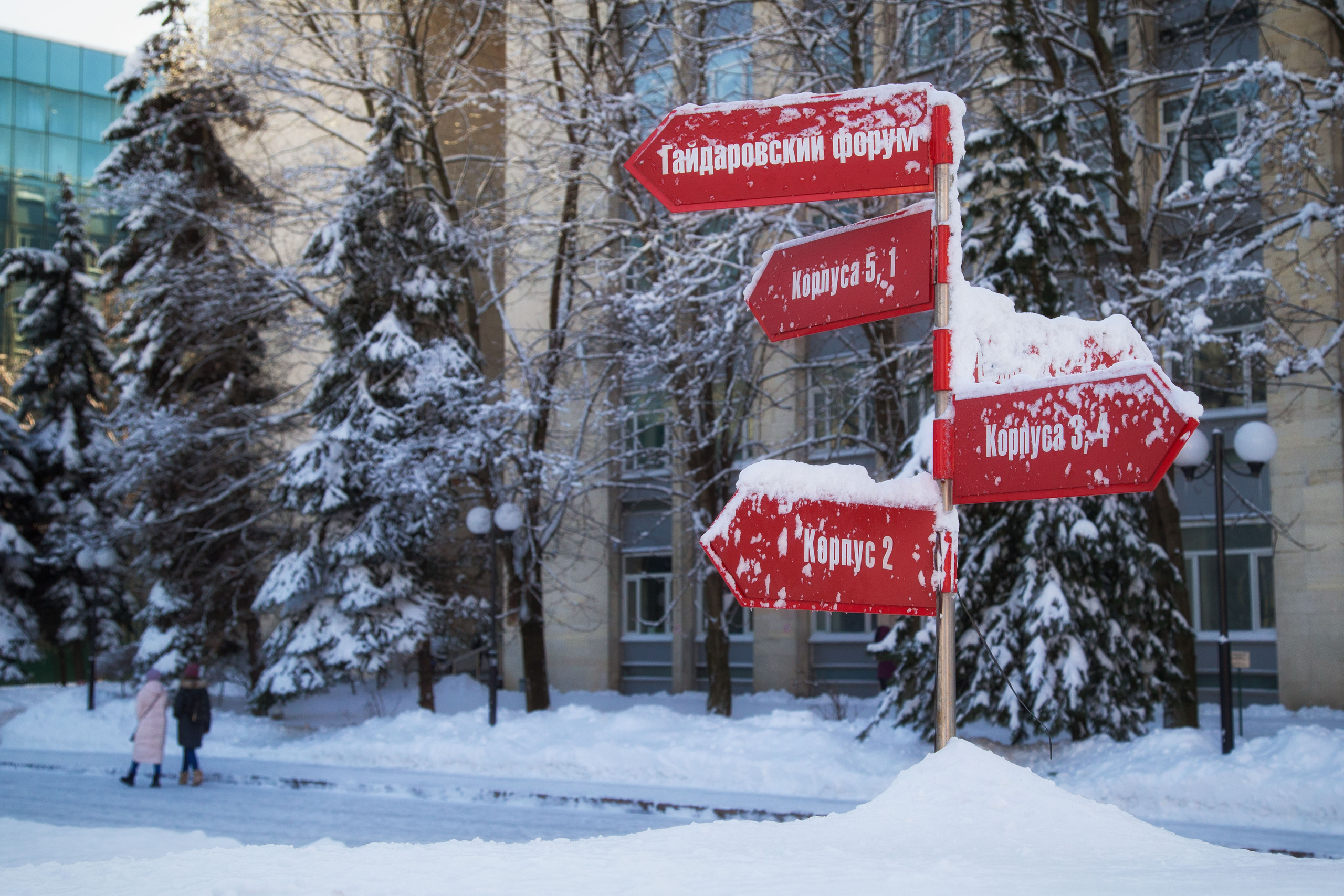 Виды Академии. Фотограф в Москве Даша Зуева