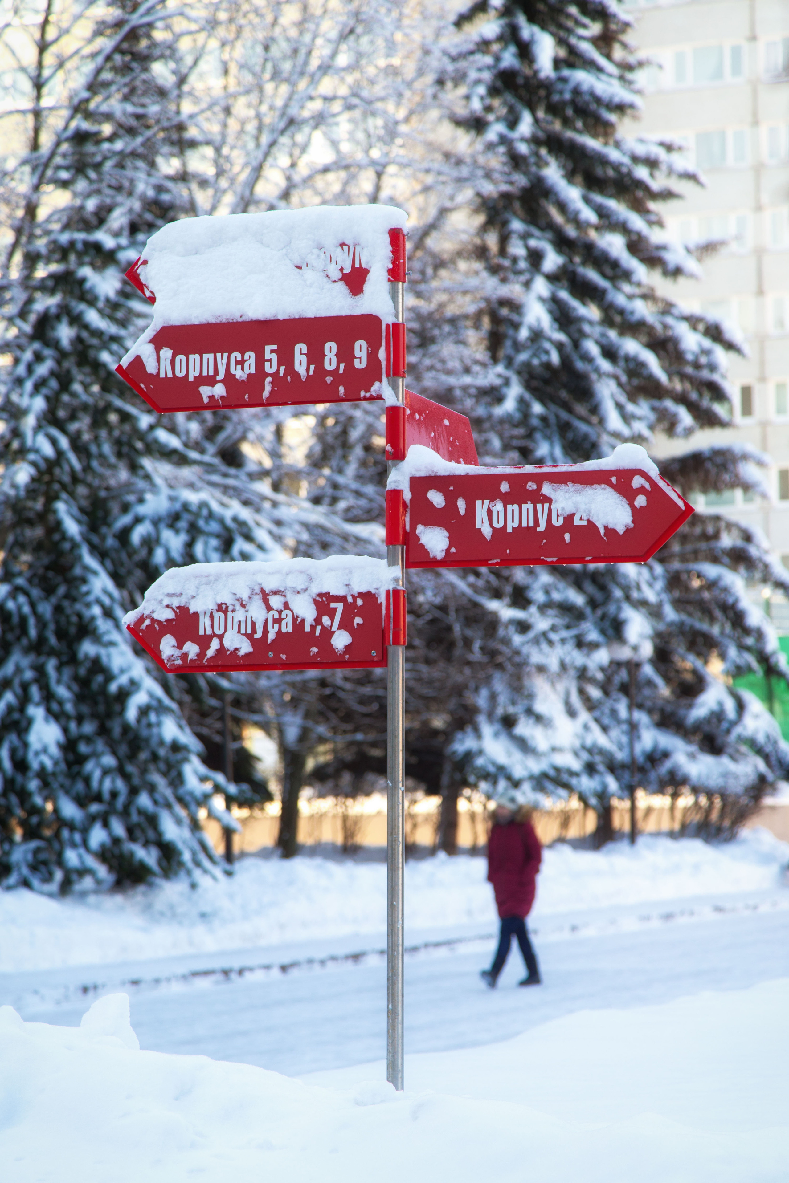 Виды Академии. Фотограф в Москве Даша Зуева
