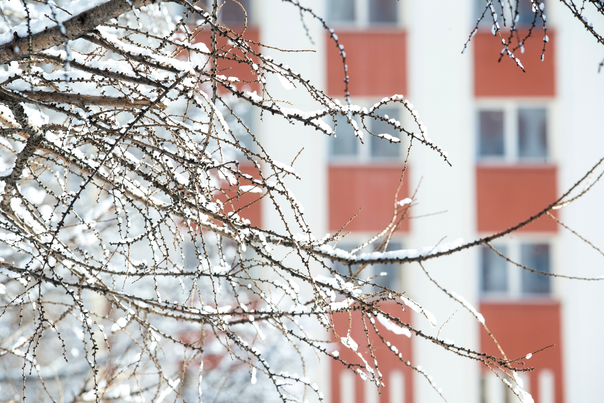 Виды Академии. Фотограф в Москве Даша Зуева