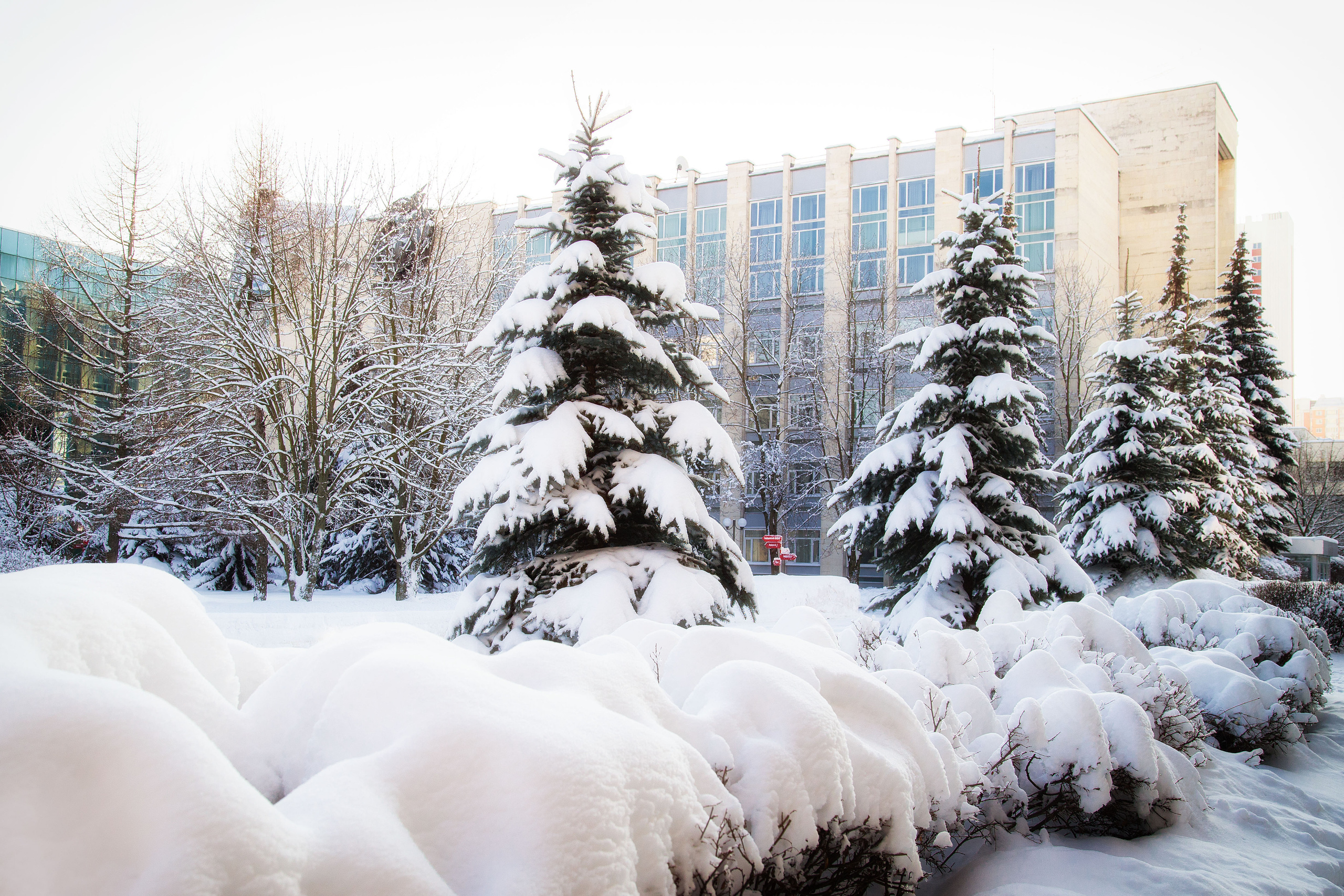 Виды Академии. Фотограф в Москве Даша Зуева