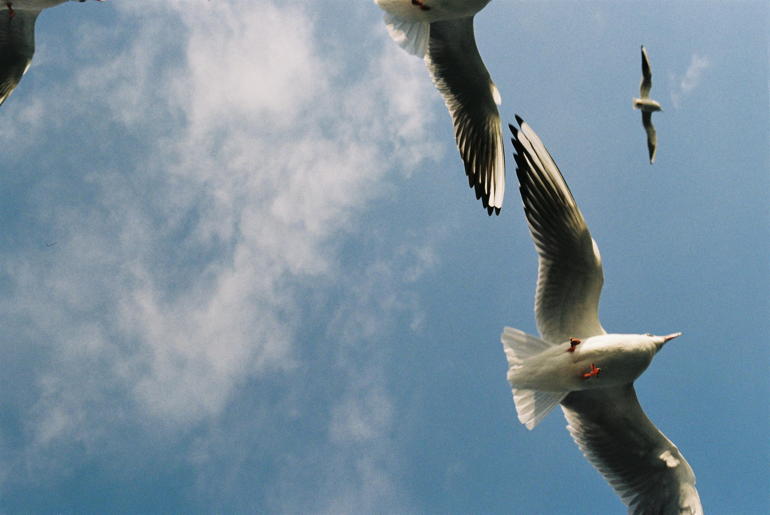 MOMENTS. Anastasia Raduga Fashion and portret photograph, worldwide