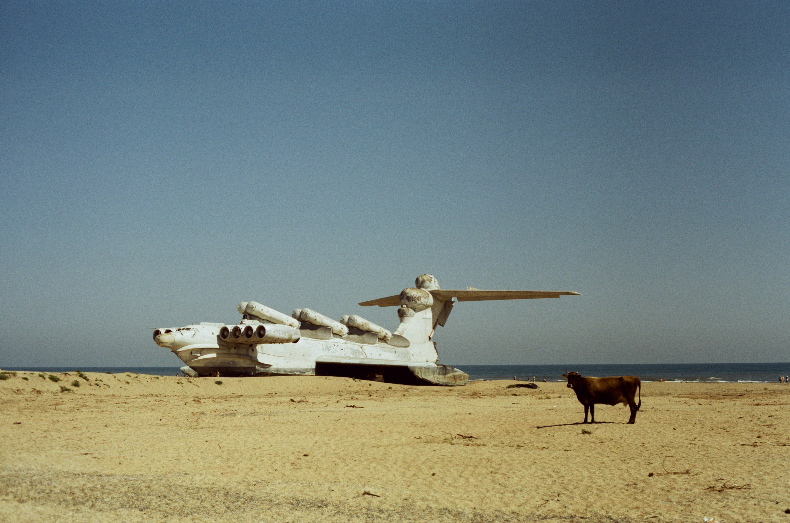 MOMENTS. Anastasia Raduga Fashion and portret photograph, worldwide