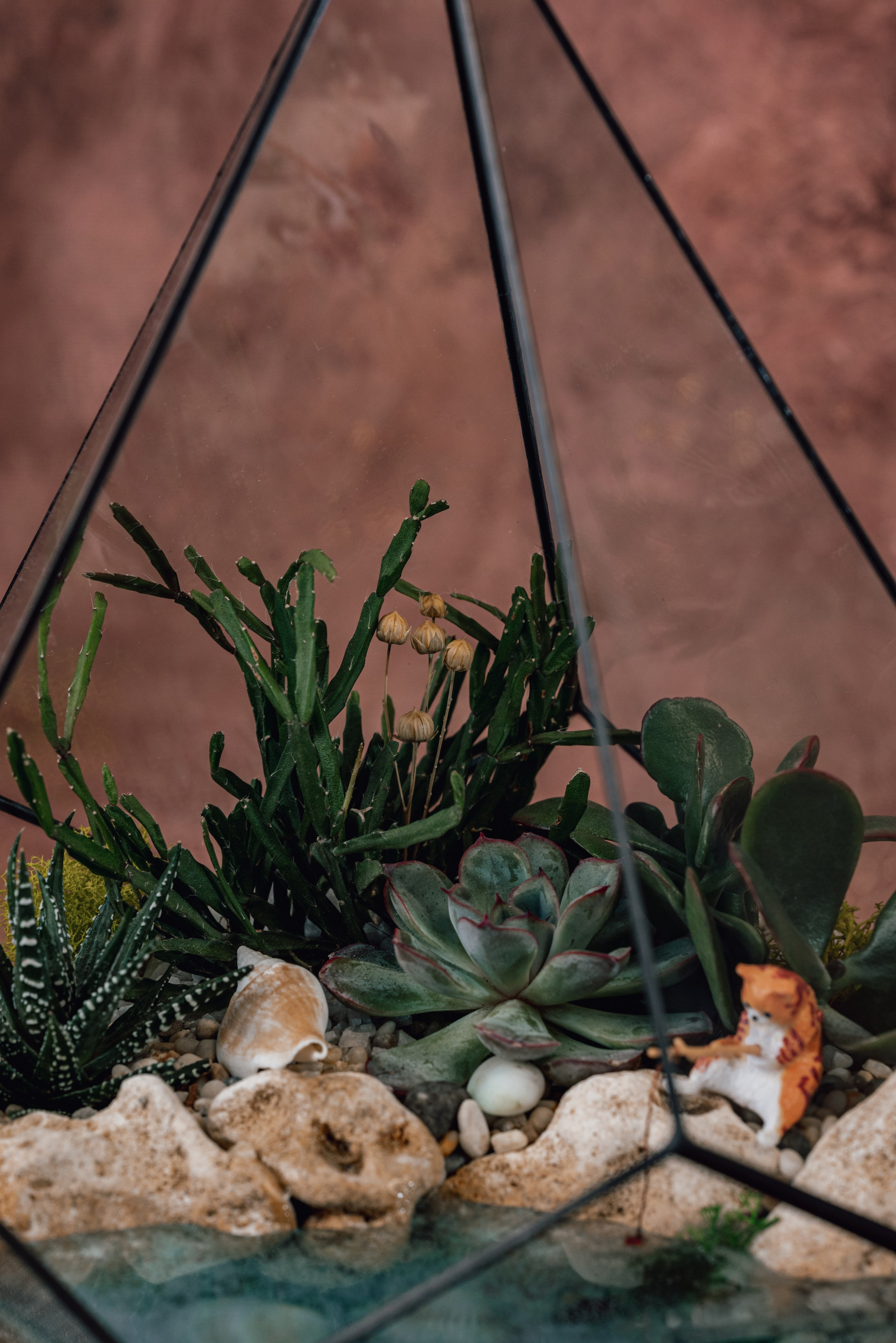 Контент-съемка для флориста. Фотограф Екатерина Шишкина. Питкяранта. Карелия