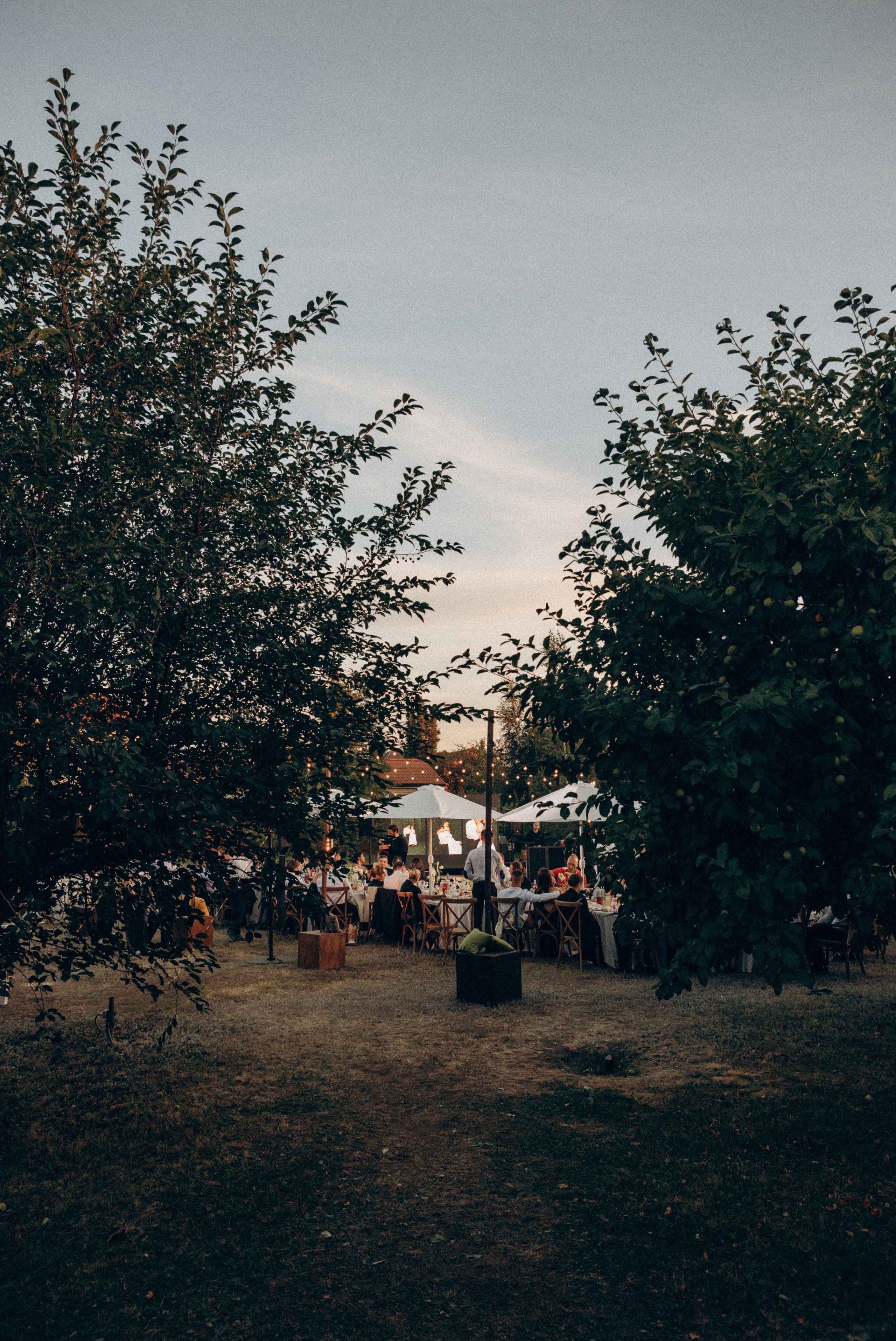 Александр & Полина. Свадебный фотограф Лена Чистопольцева