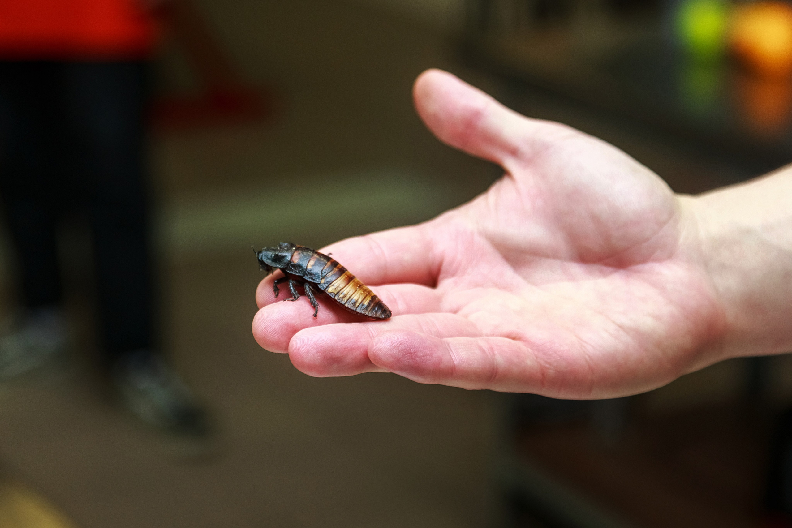 . Фотограф в Москве и Одинцово
