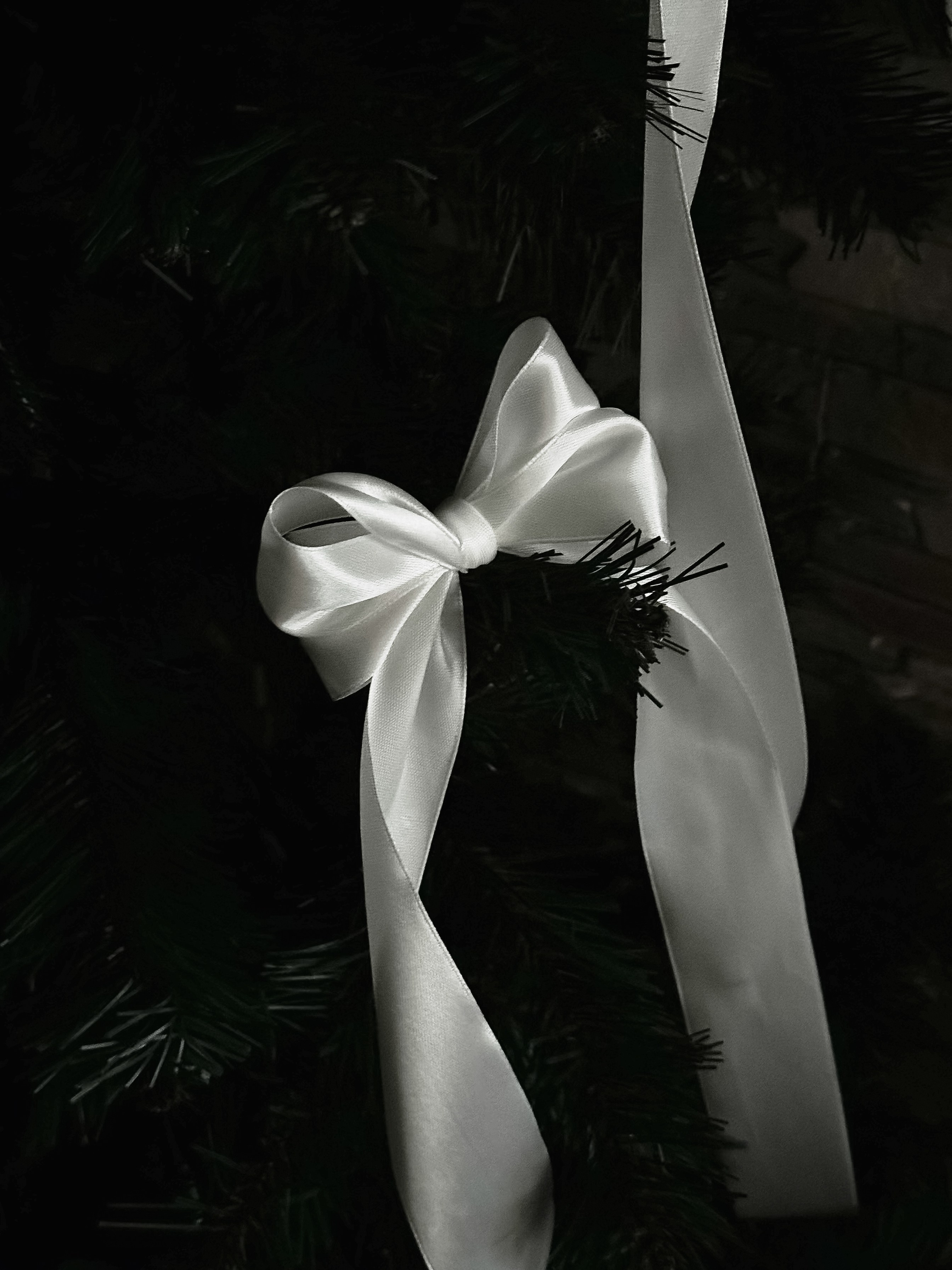 Все вокруг. Фотограф в Санкт-Петербурге / Красноярске Надежда Самошкина