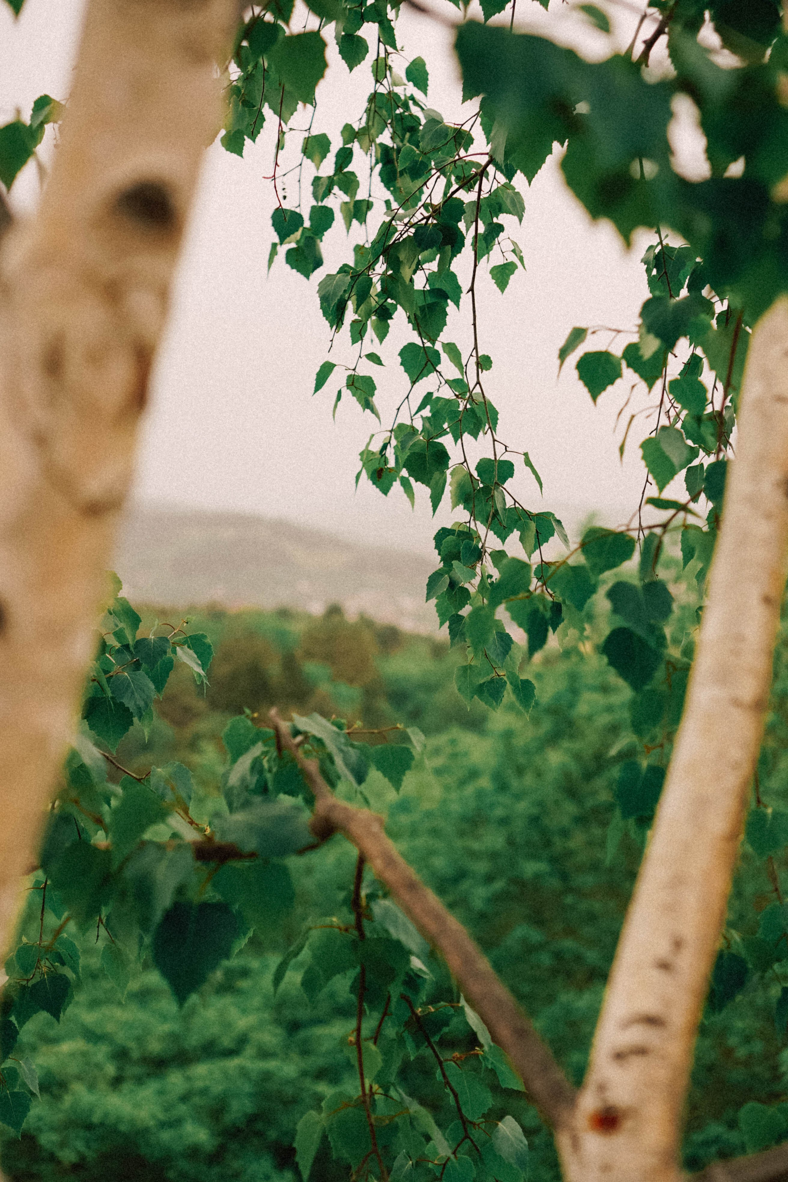 КИСЛОВОДСК. Профессиональный фотограф, Санкт-Петербург — Виктория Богомолова