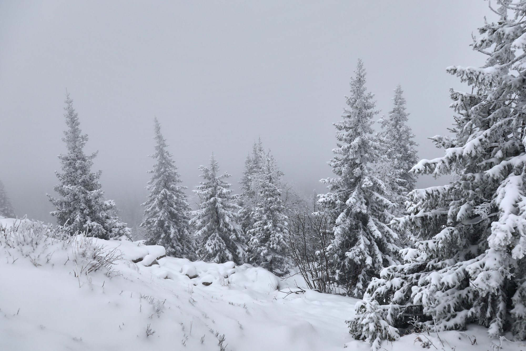 Гора Зюраткуль. Фотограф из Екатеринбурга Игорь Тихомиров. Пейзажное фото и фотосессии
