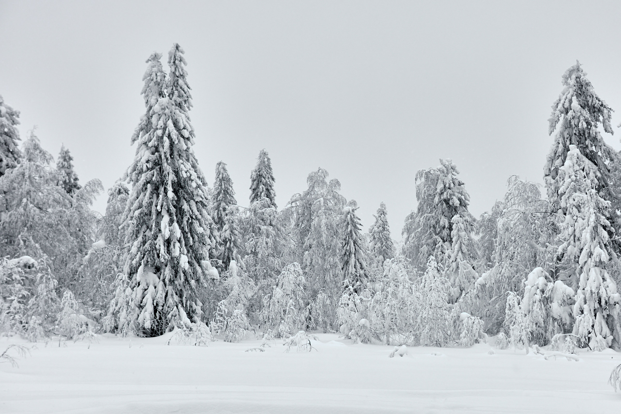 Каменный город в Пермском крае. Фотограф из Екатеринбурга Игорь Тихомиров. Пейзажное фото и фотосессии