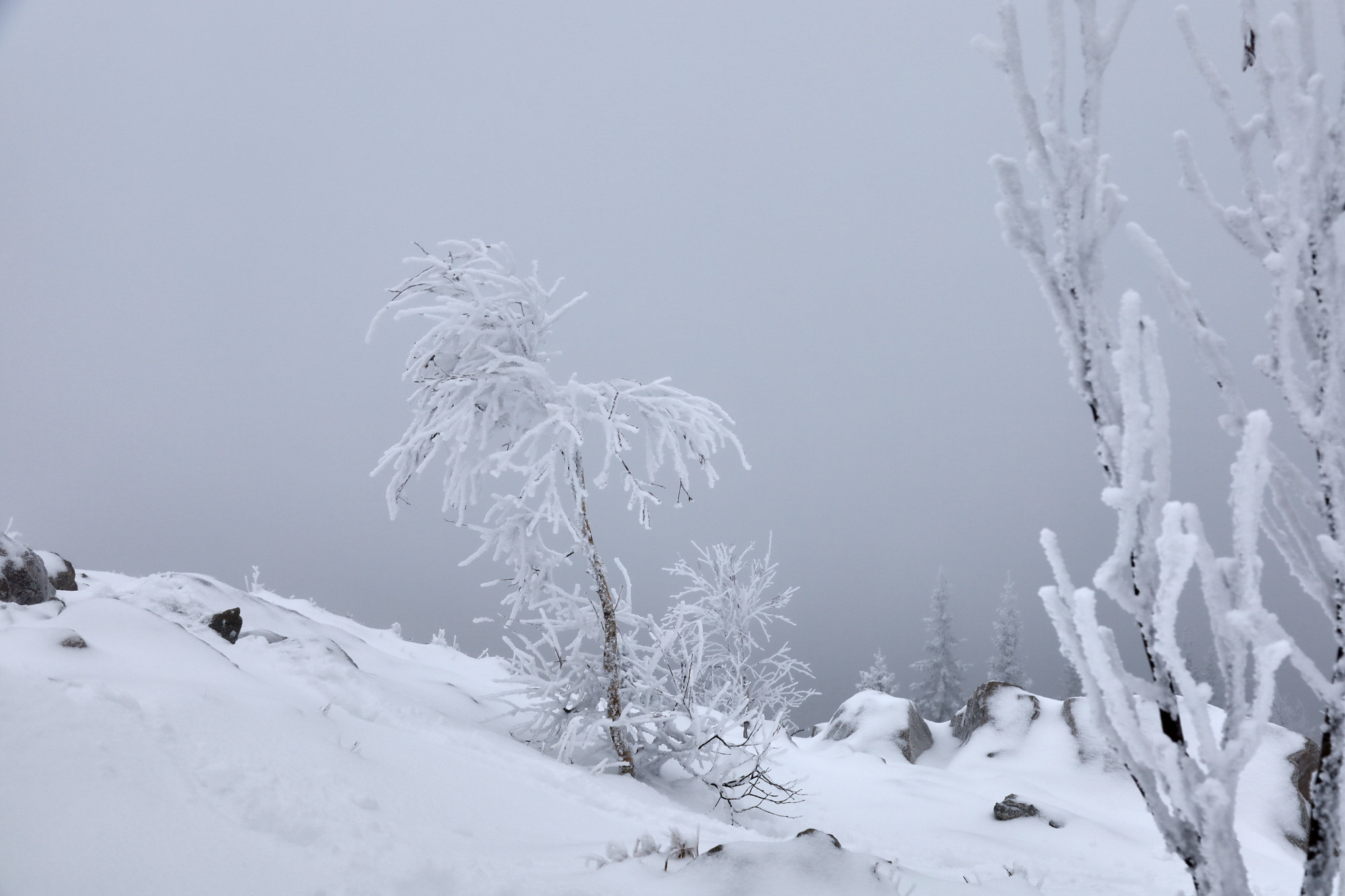 Гора Зюраткуль. Фотограф из Екатеринбурга Игорь Тихомиров. Пейзажное фото и фотосессии