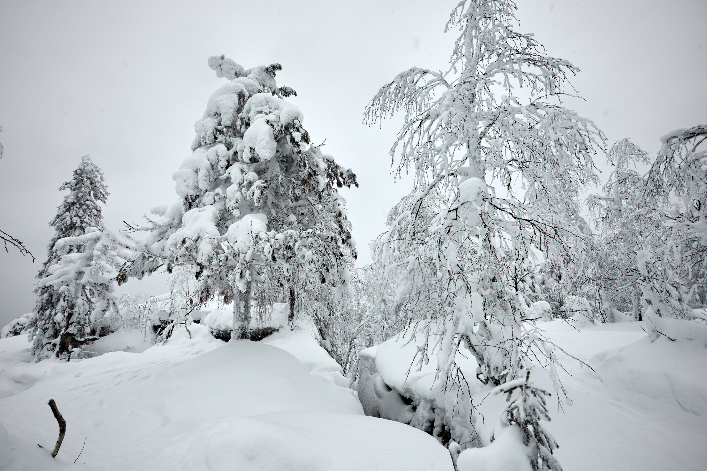 Каменный Город
