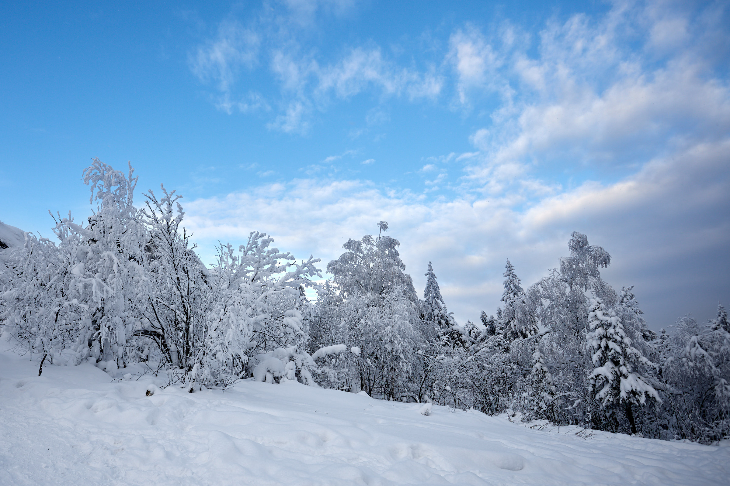 Гора Колпаки зимой