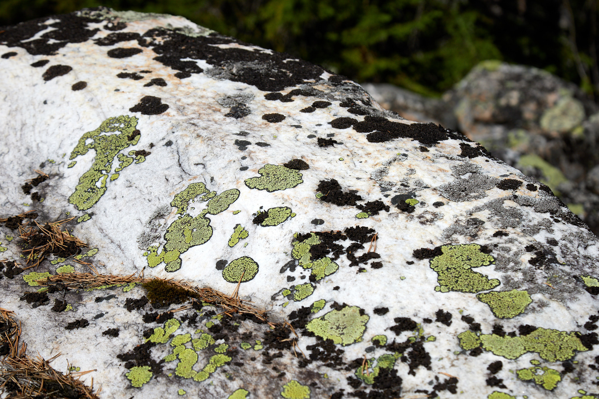 Поход в национальной парк Таганай. Фотограф из Екатеринбурга Игорь Тихомиров. Пейзажное фото и фотосессии