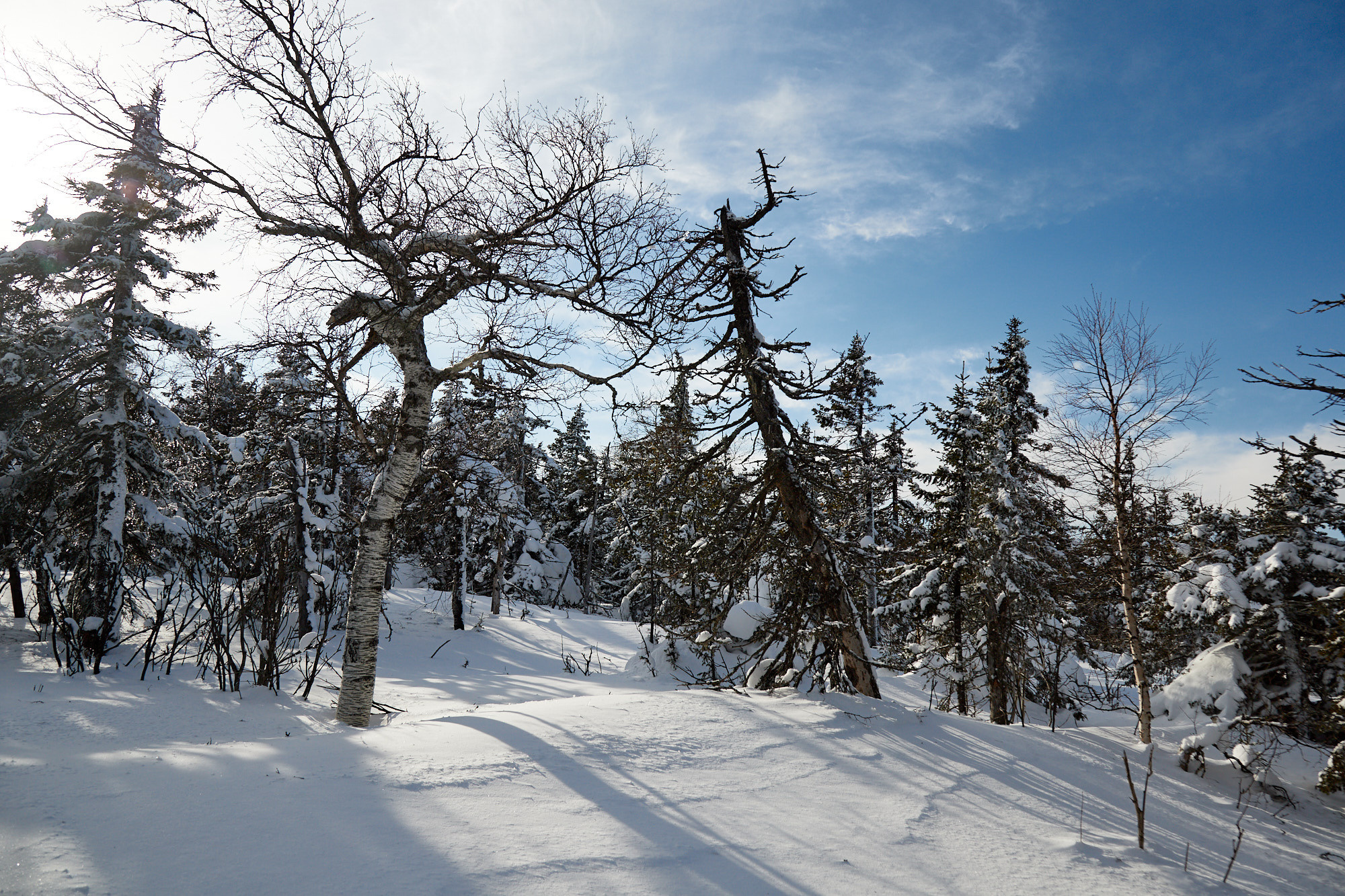 Гора Юрма, южный Урал. Фотограф из Екатеринбурга Игорь Тихомиров. Пейзажное фото и фотосессии