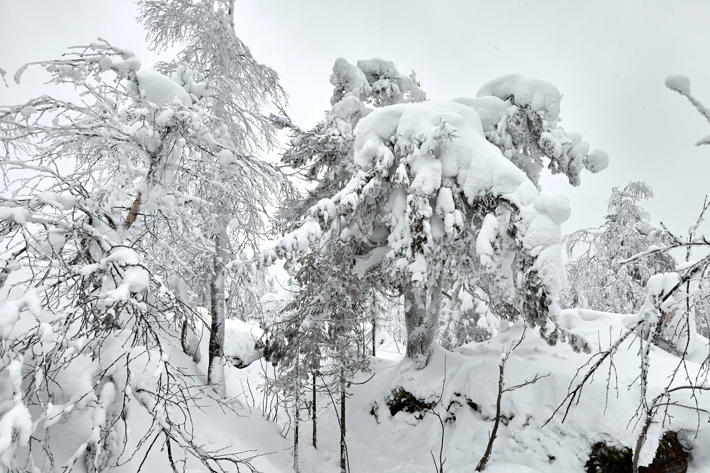 Каменный город в Пермском крае. Фотограф из Екатеринбурга Игорь Тихомиров. Пейзажное фото и фотосессии