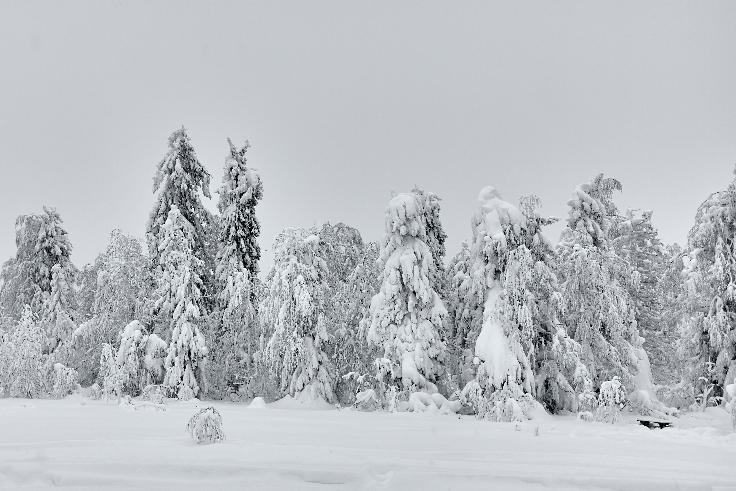 Каменный город в Пермском крае. Фотограф из Екатеринбурга Игорь Тихомиров. Пейзажное фото и фотосессии
