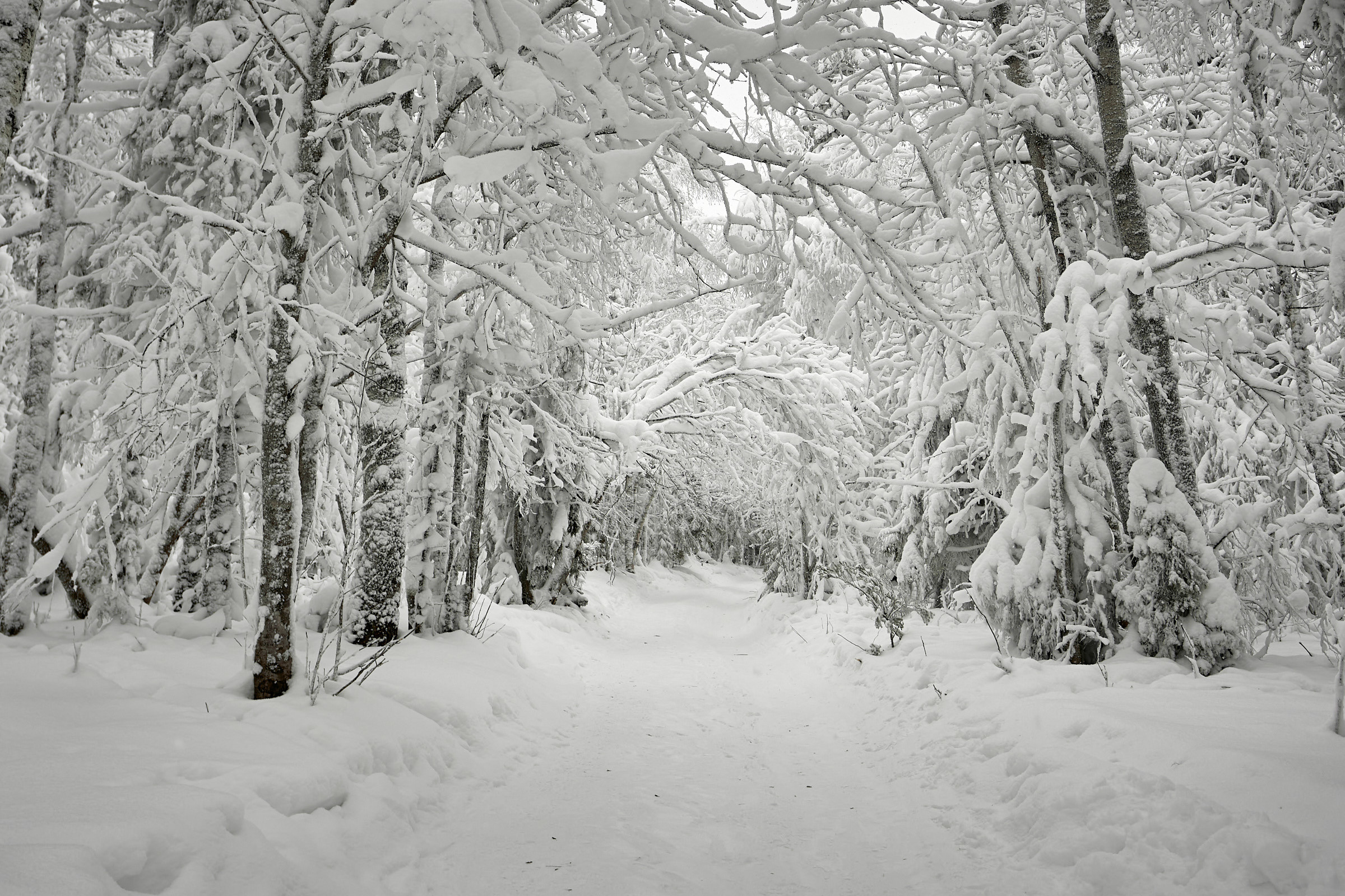 Каменный город в Пермском крае. Фотограф из Екатеринбурга Игорь Тихомиров. Пейзажное фото и фотосессии