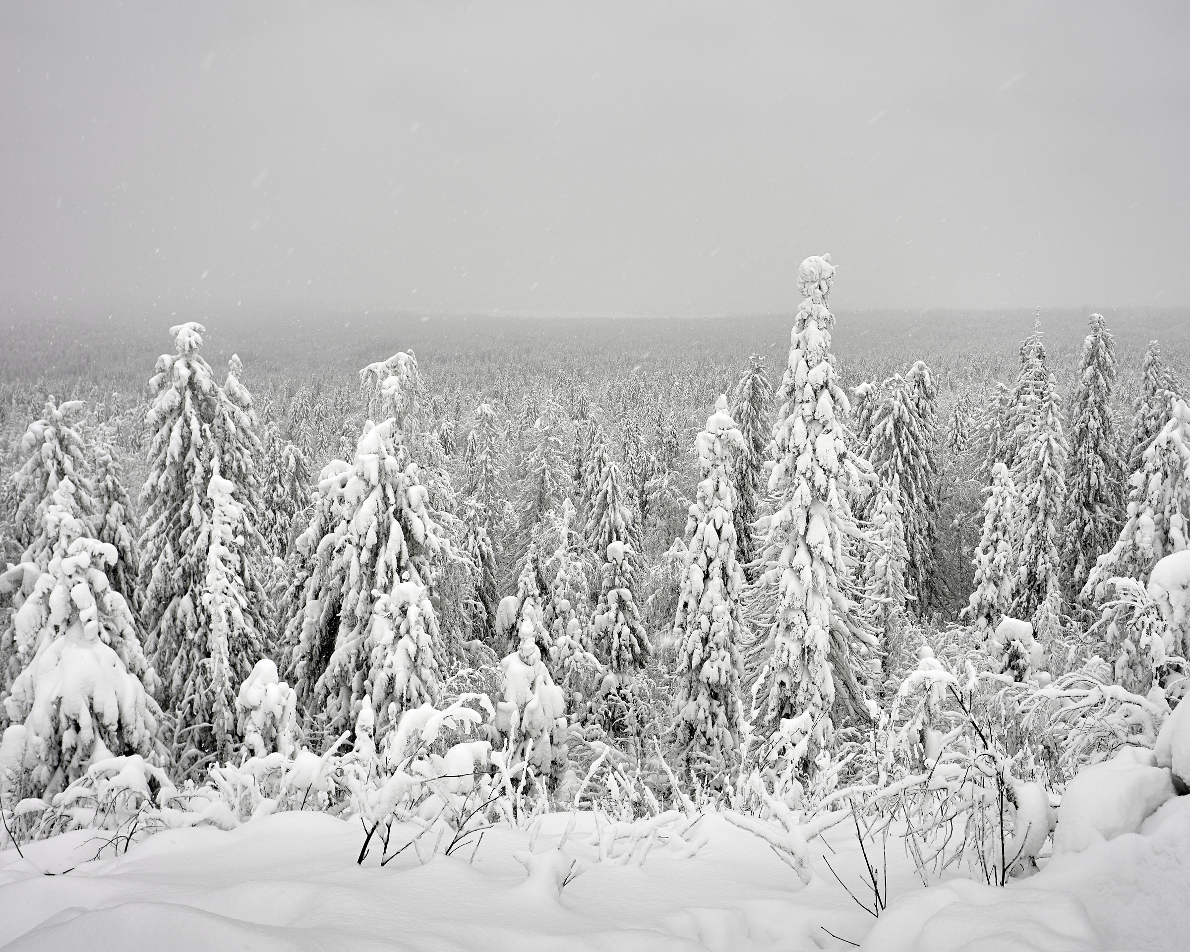 Каменный город в Пермском крае. Фотограф из Екатеринбурга Игорь Тихомиров. Пейзажное фото и фотосессии