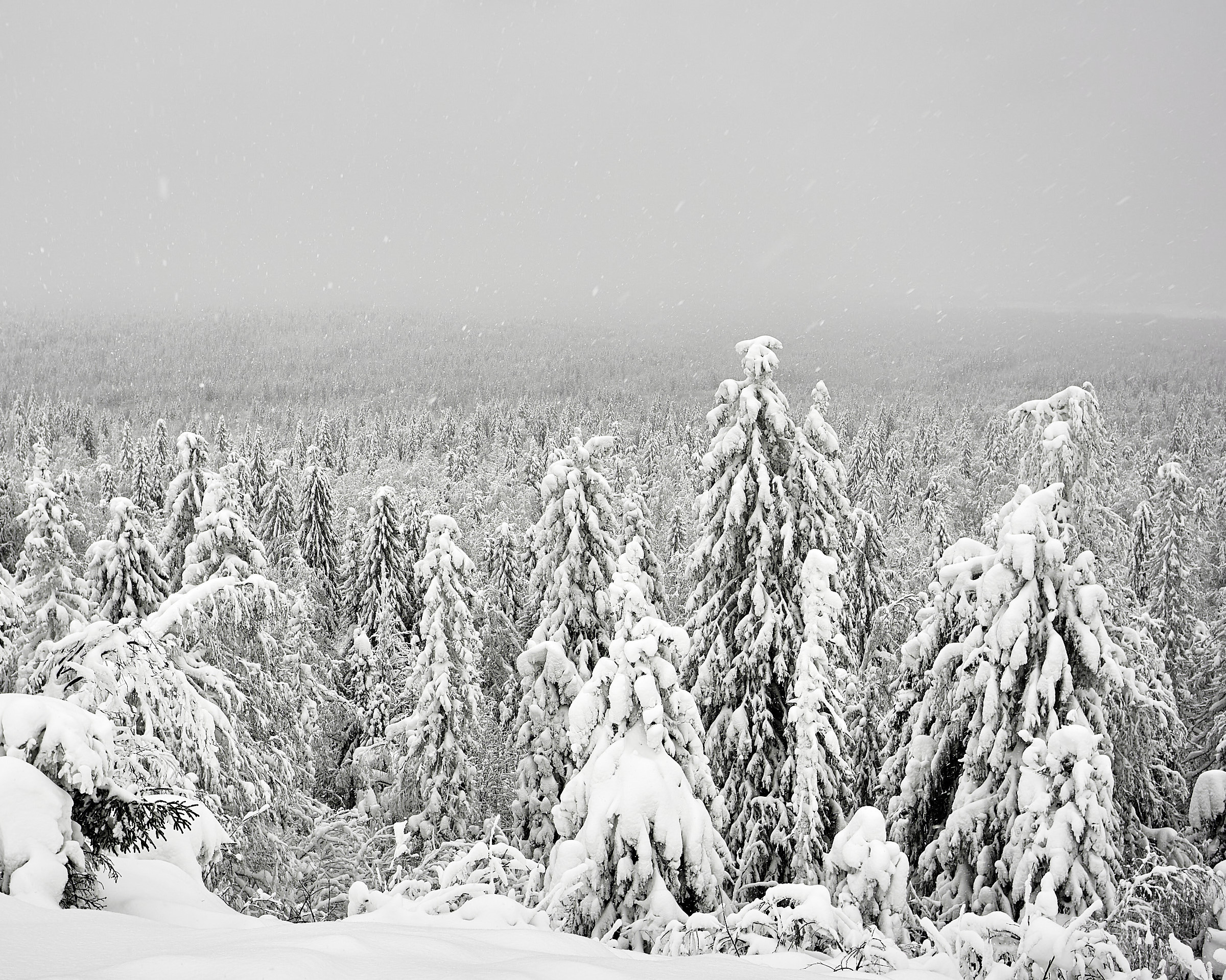 Каменный город в Пермском крае. Фотограф из Екатеринбурга Игорь Тихомиров. Пейзажное фото и фотосессии