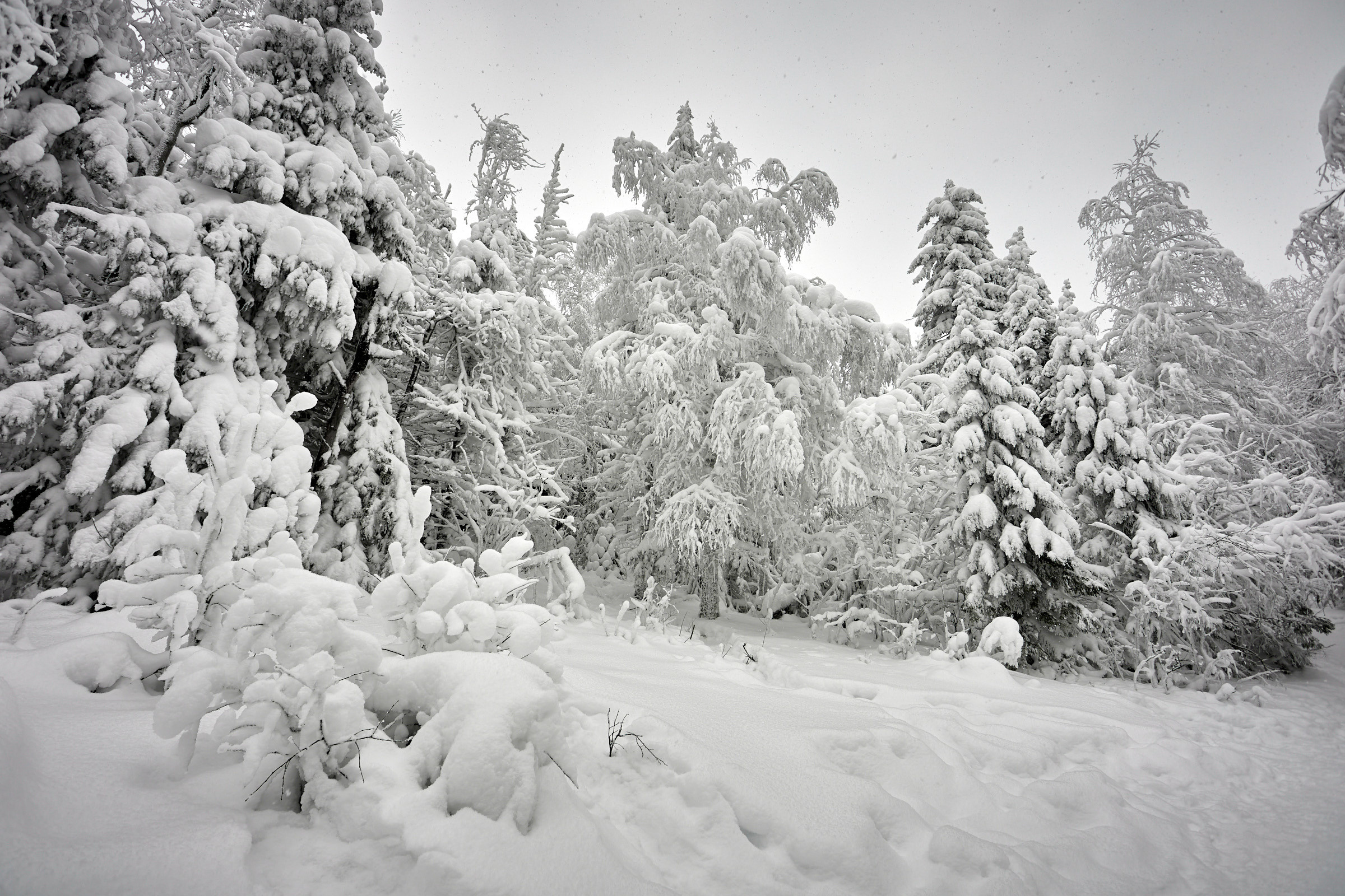 Каменный город в Пермском крае. Фотограф из Екатеринбурга Игорь Тихомиров. Пейзажное фото и фотосессии