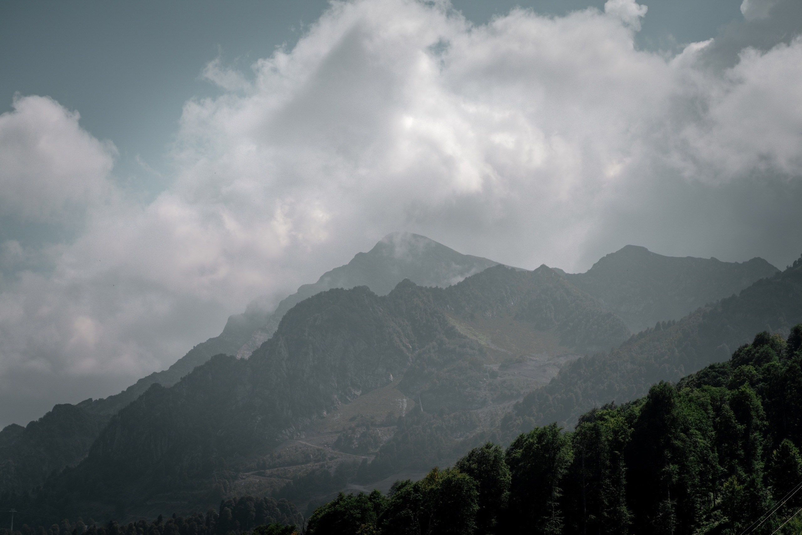 Фотограф Александра Волкова | Волгоград