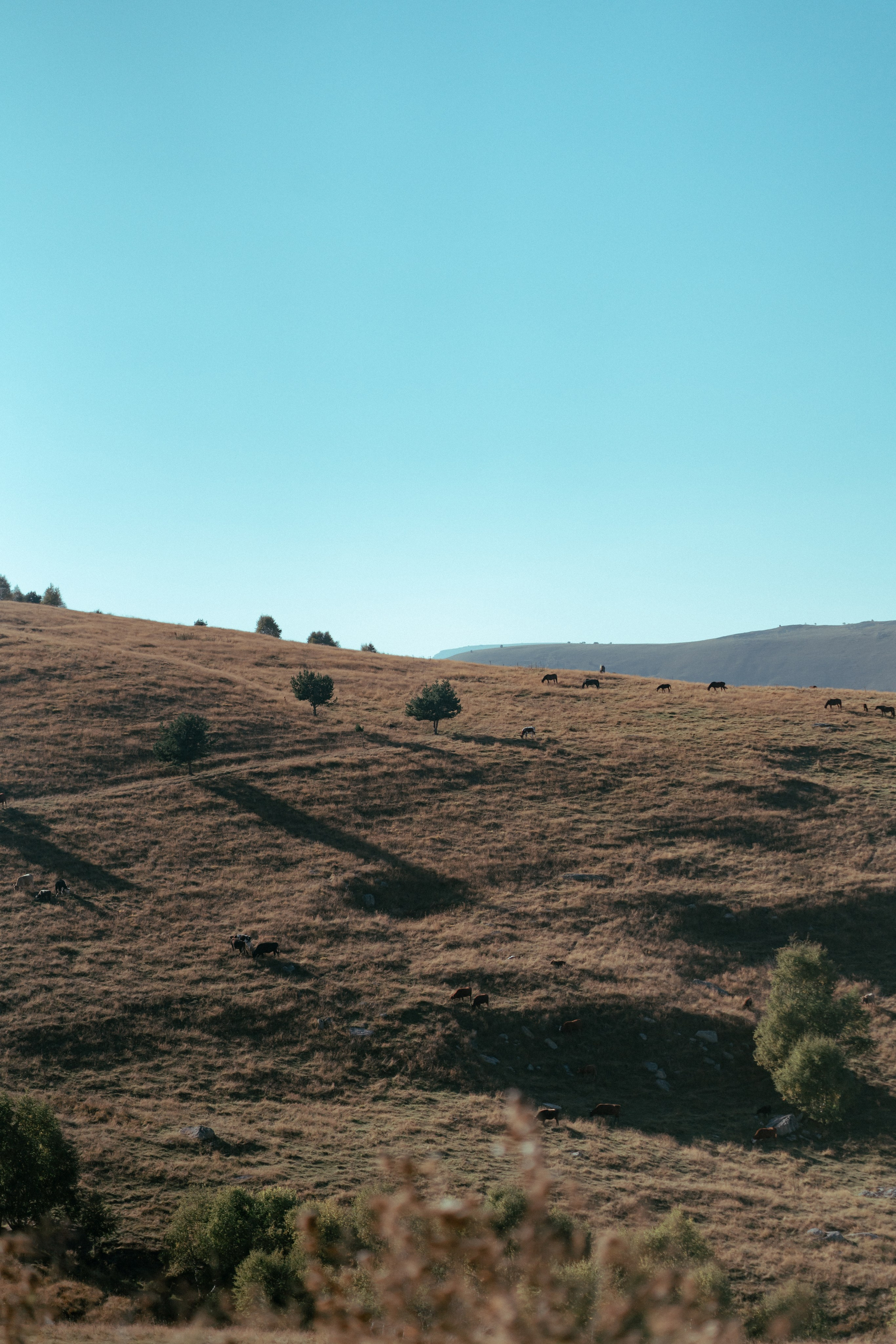 Эльбрус. Фотограф Александра Волкова | Волгоград