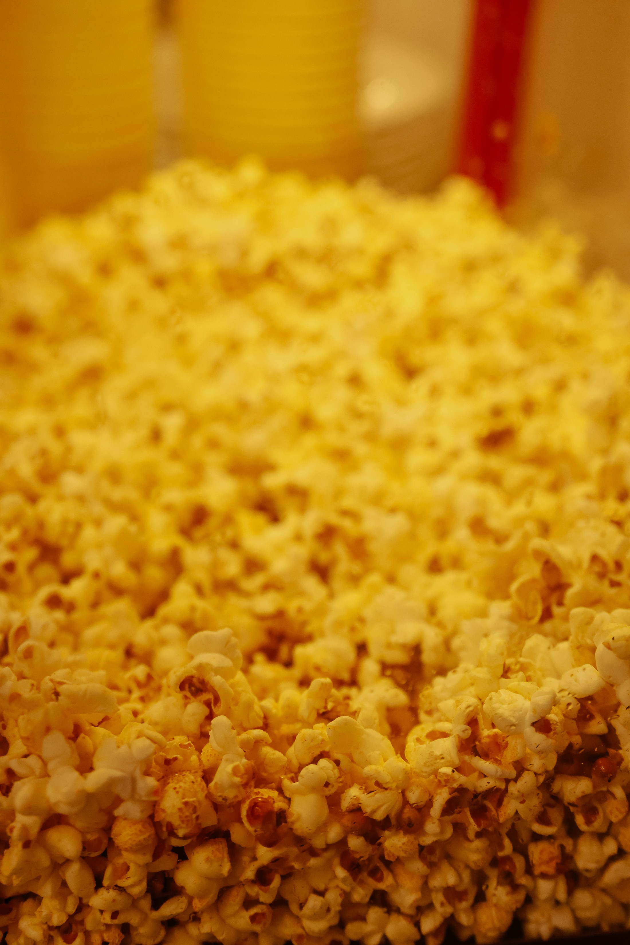 Кубок Первого канала. Фотограф Юлия Мальцева