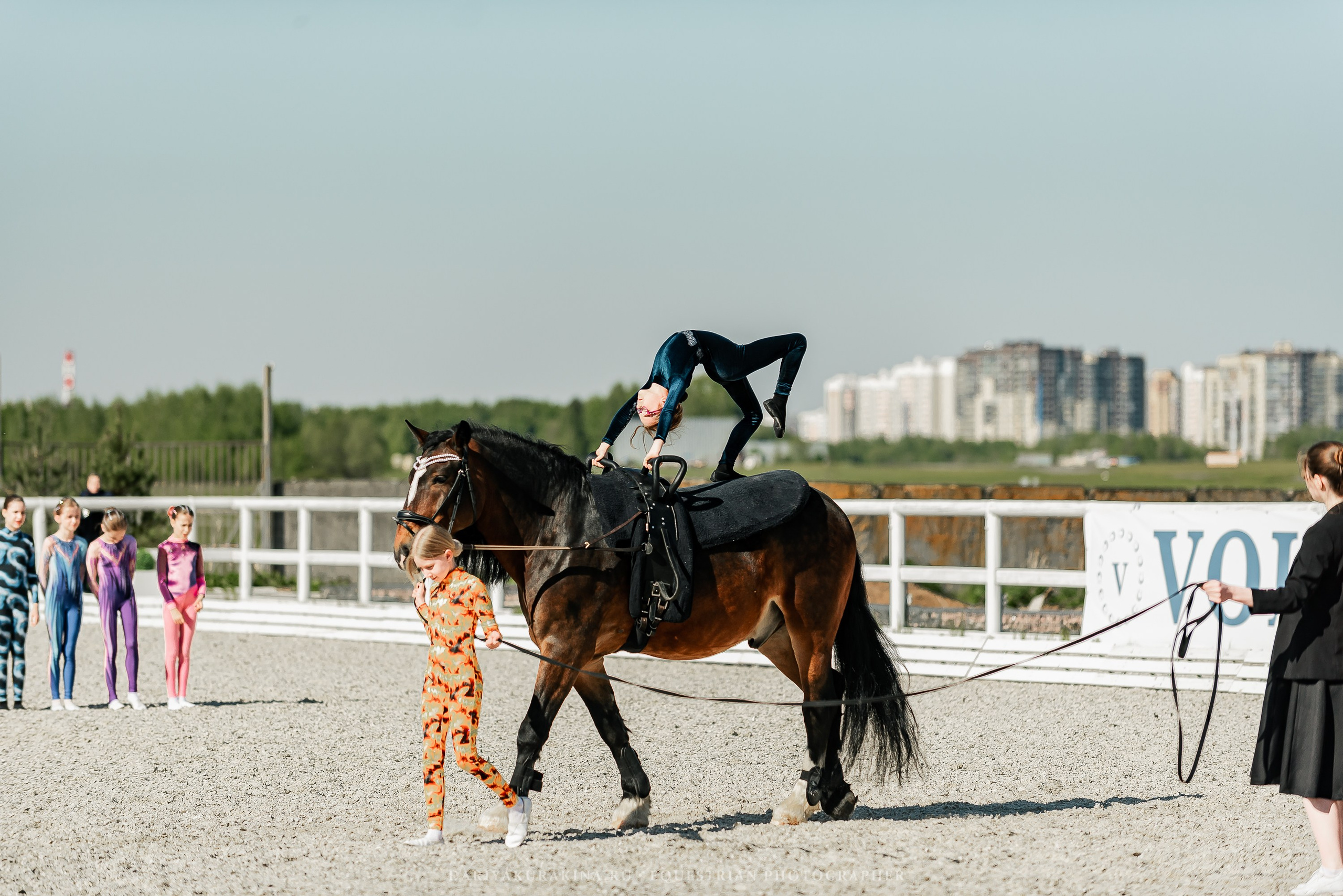 РЕПОРТАЖ МКК ВОЛЬТ «LA TULIPS». Конный фотограф Куракина Дарья • Фотосессии с лошадьми