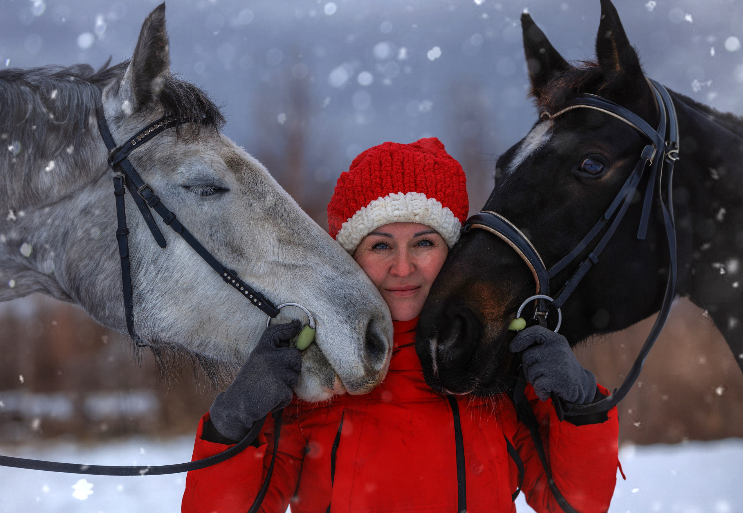 КСК Мечта. Конный фотограф в Красноярске — Любовь Похабова