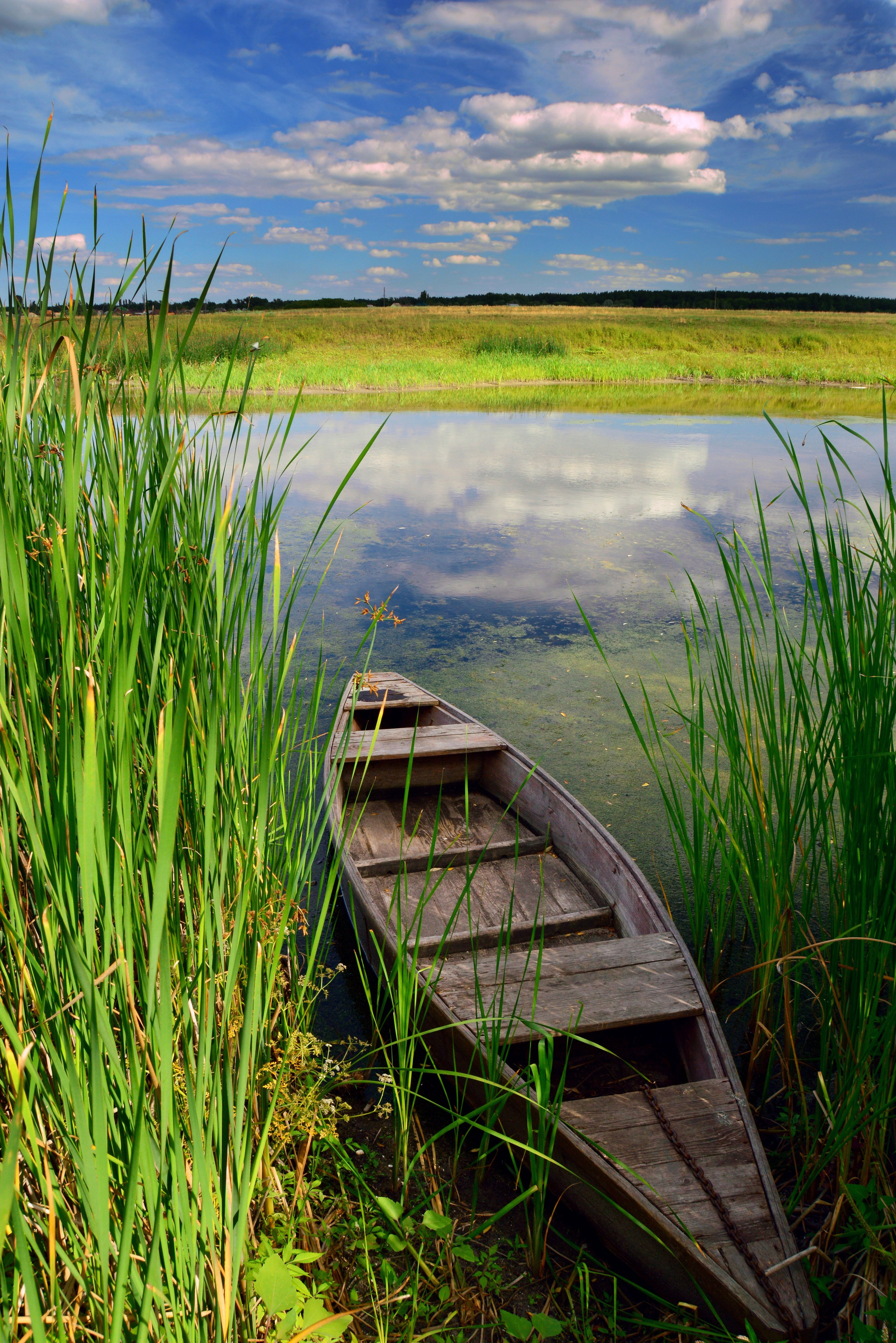 Природа. Главная