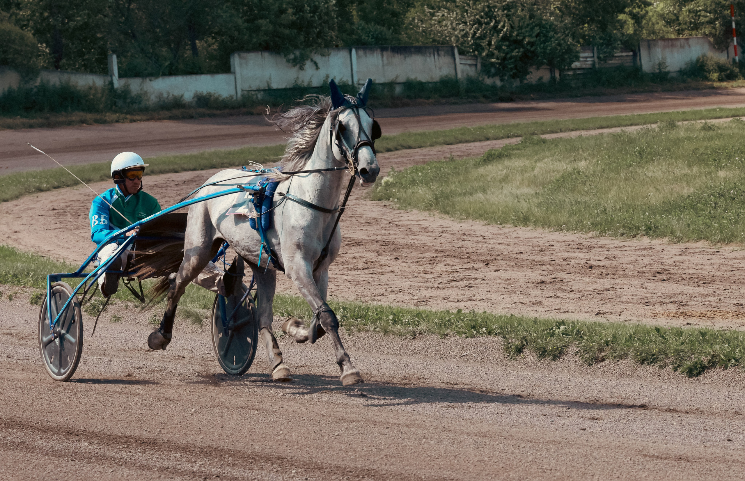 Мир вокруг нас. Разное. Фотограф Наталья Кузьмик г. Красноярск