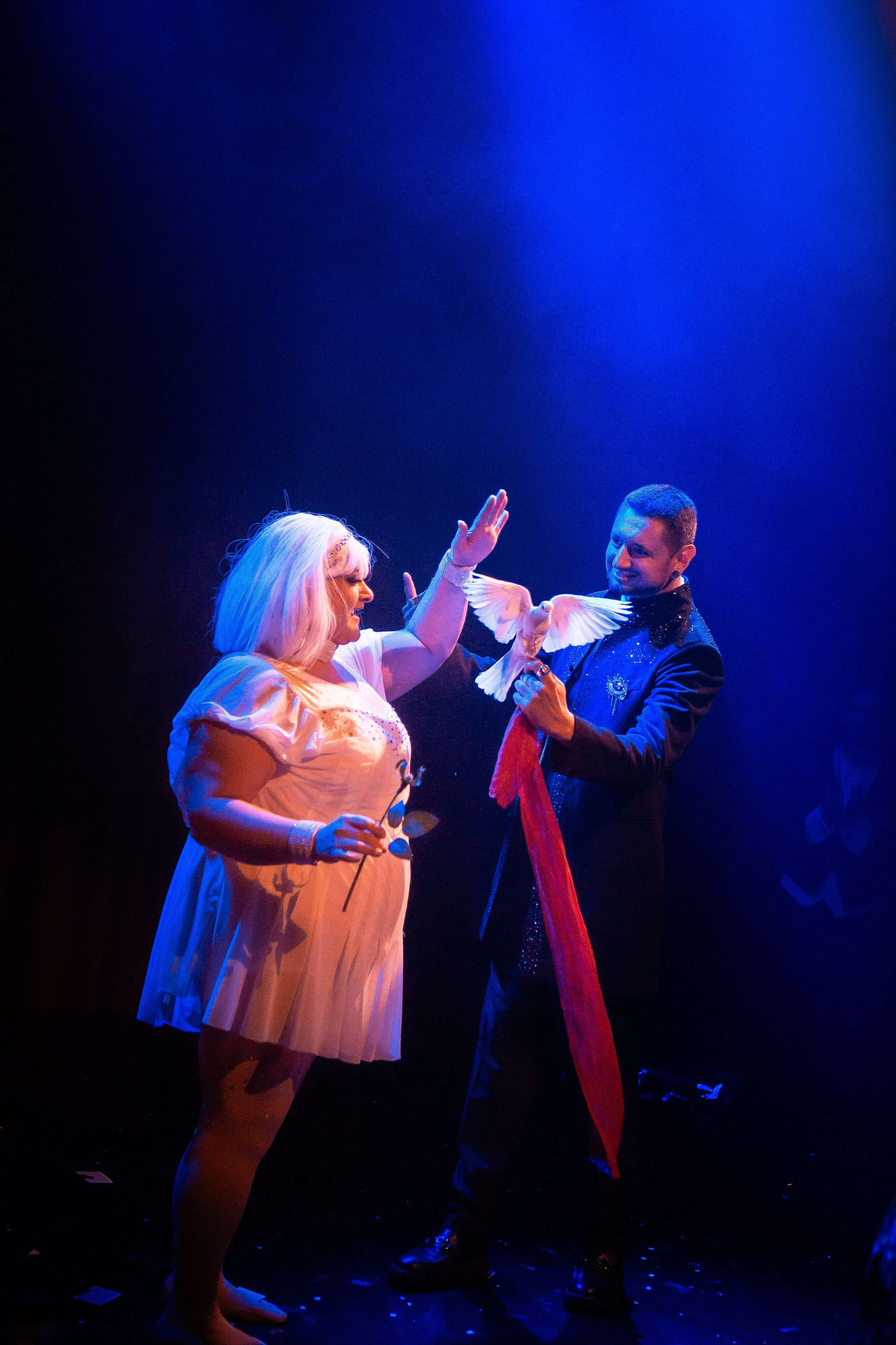 Цирковое шоу. Видеограф Добромыслов