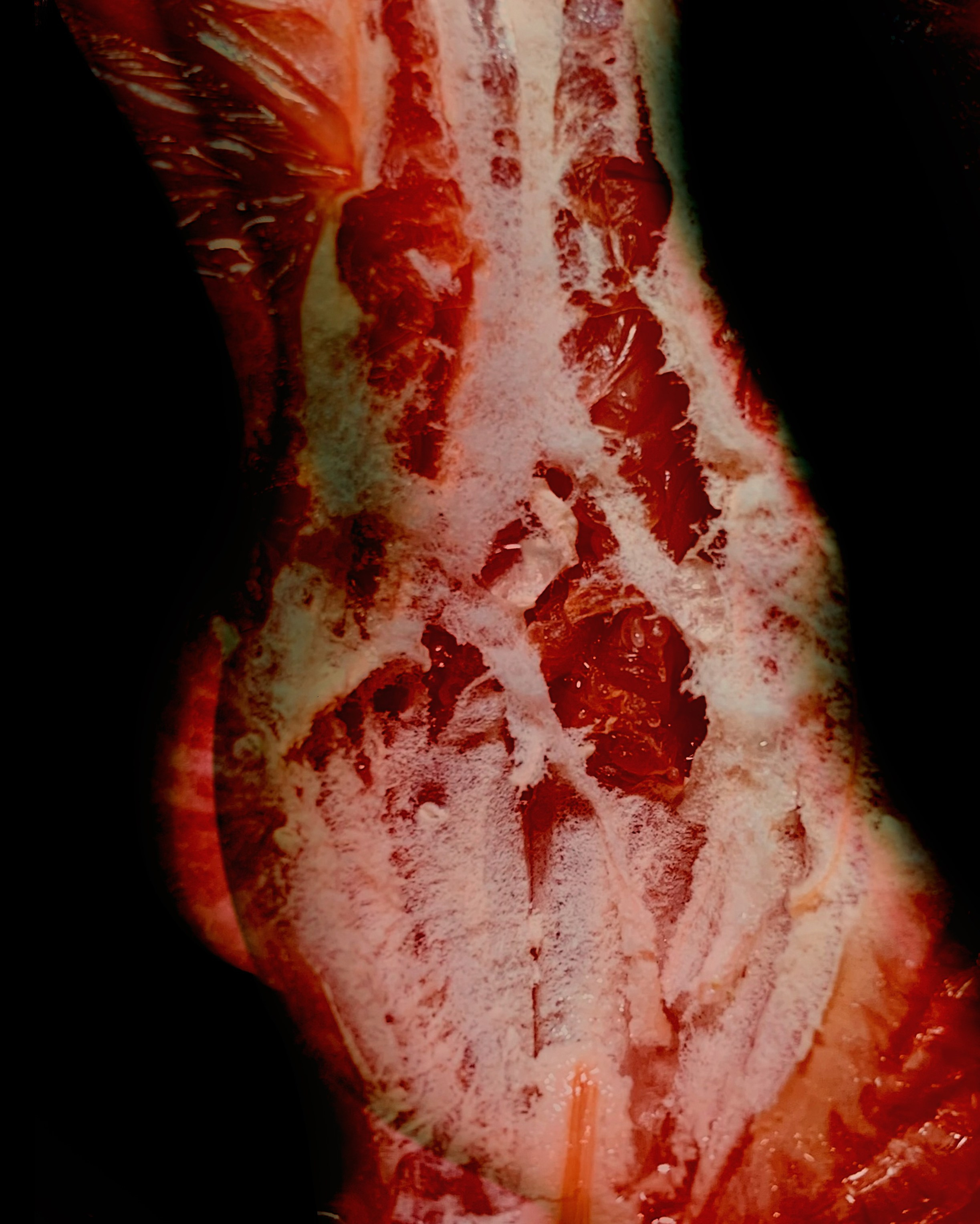 FIGUR. Контент-креатор Паша Норицын