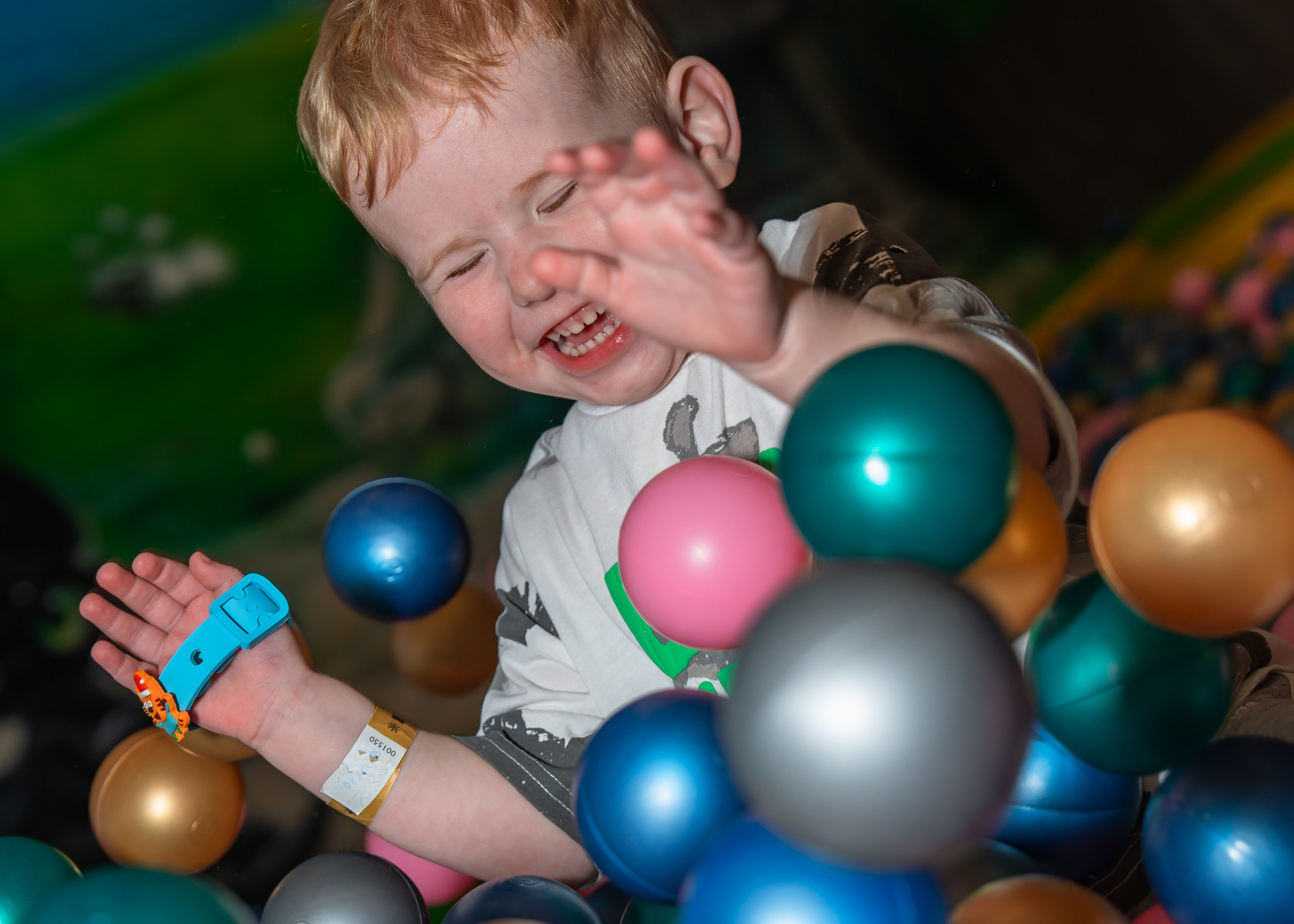 Коржик в Joki Joya. Крамер Юлиана детский и семейный фотограф