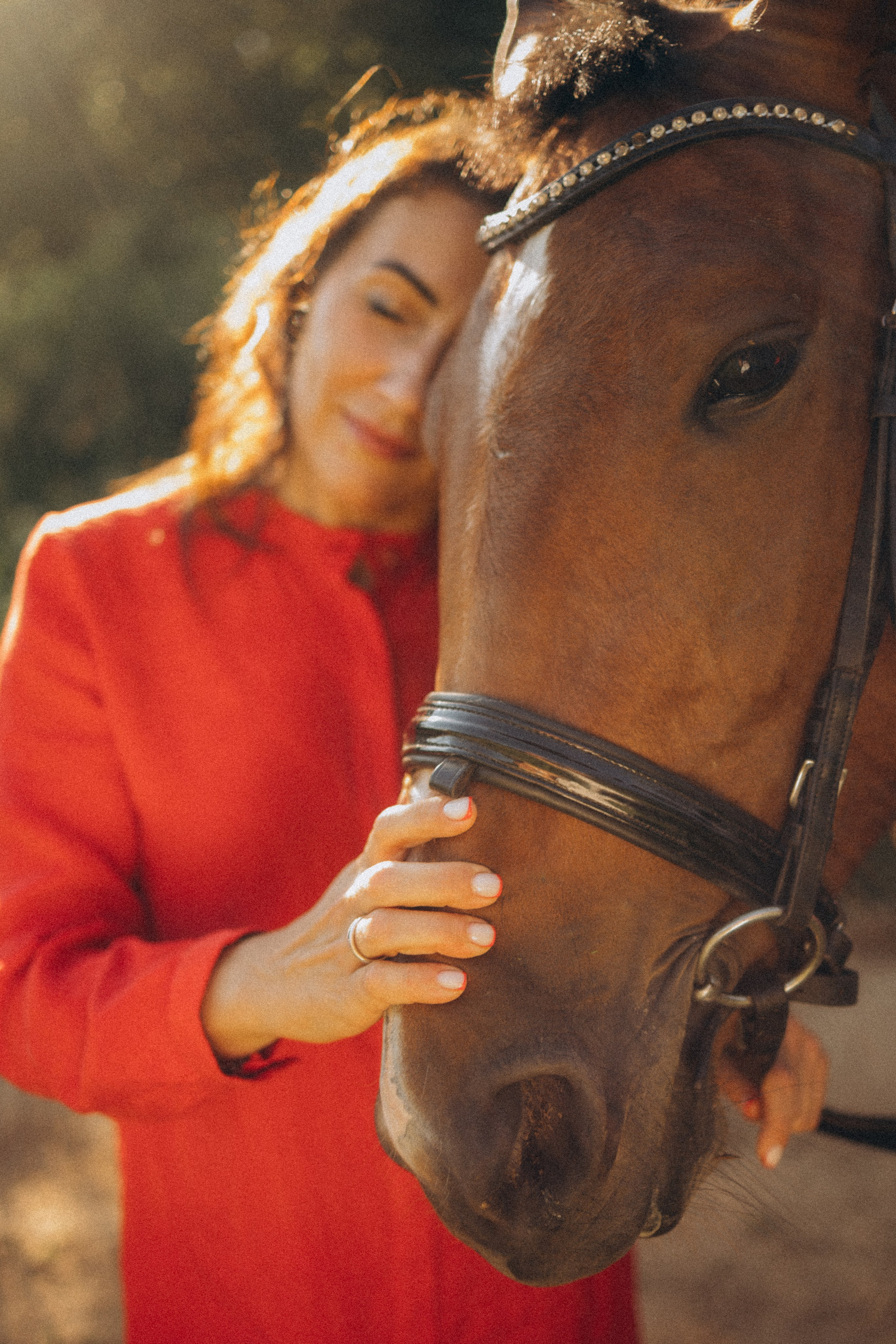 А в деревни лошади. Фотограф Москва Светлана Кирюшина