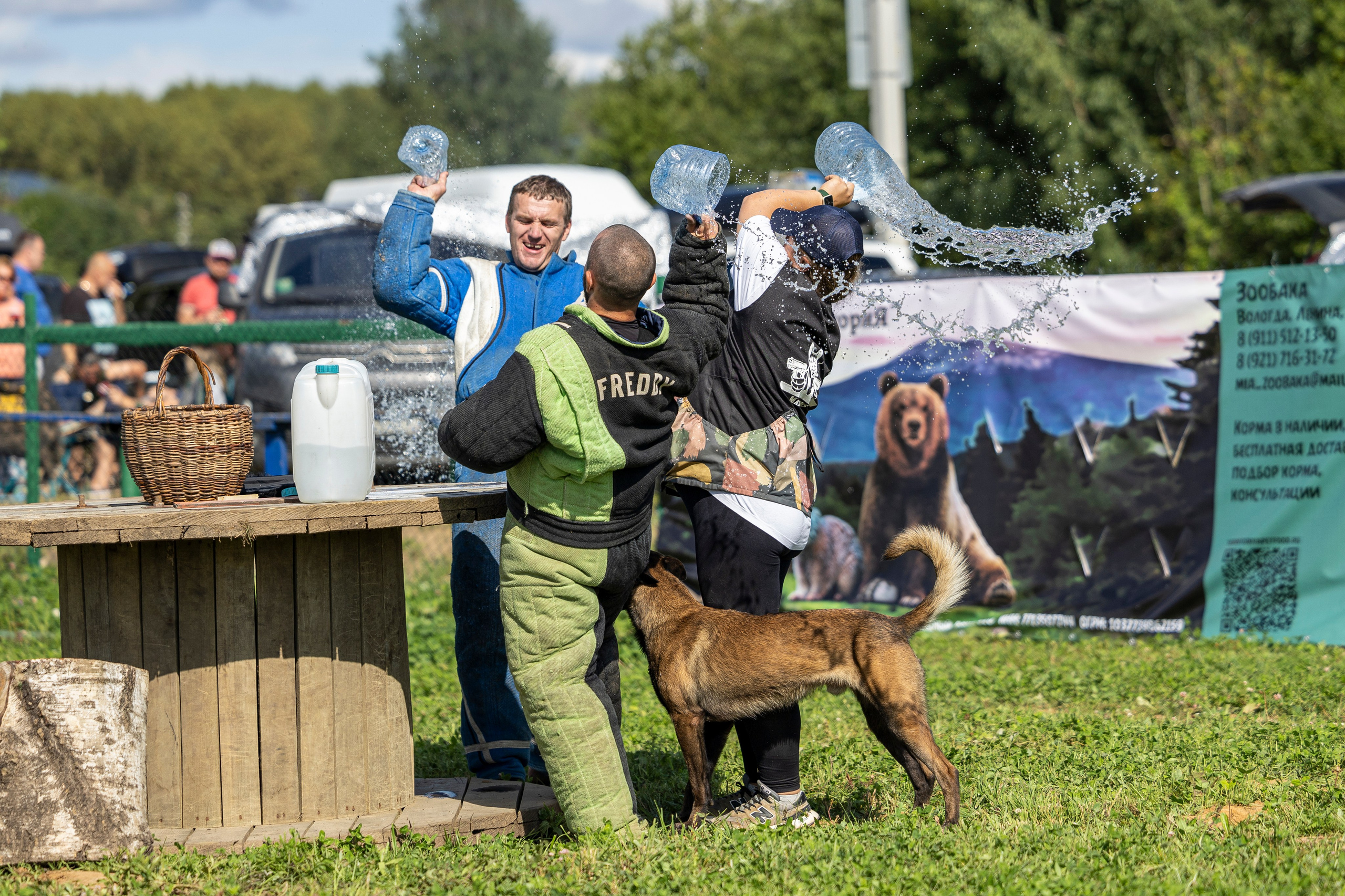 Соревнования по Мондьорингу г. Вологда 10-11.08.2024. Фотограф-анималист Анна Маринич