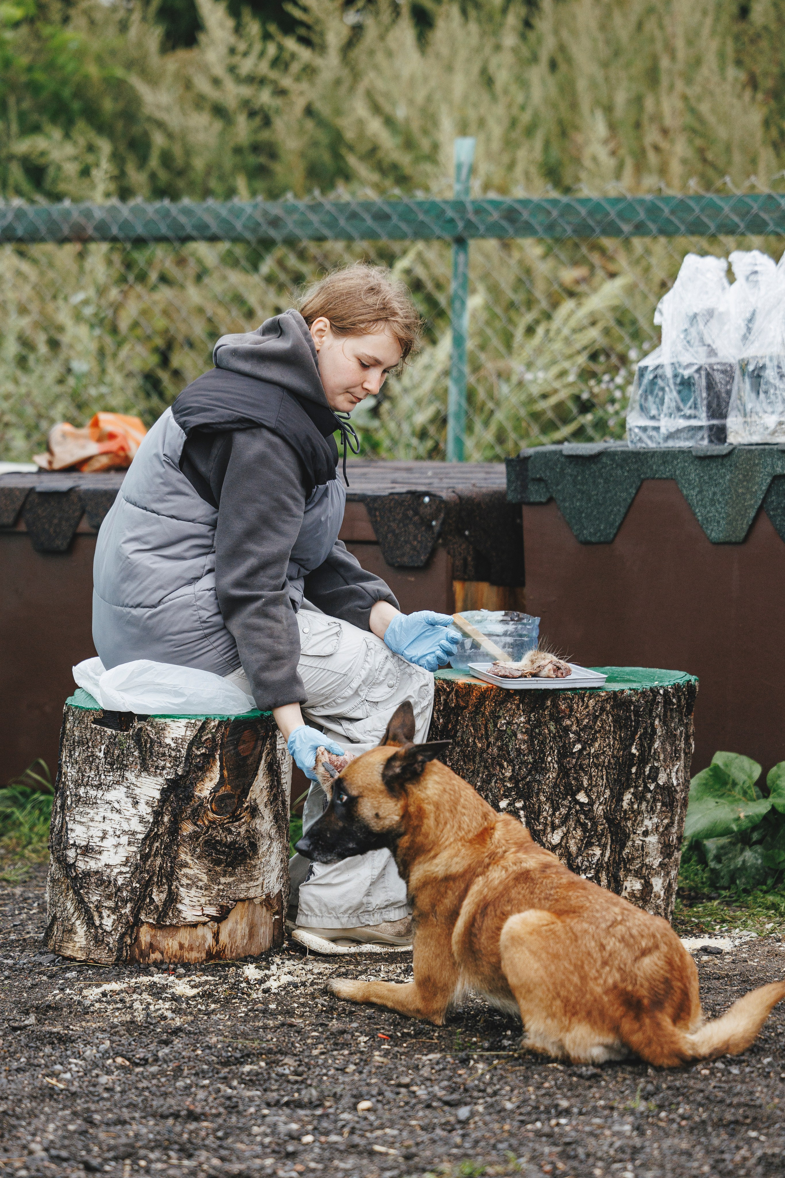 08.08.25-10.08.25 ЧР по мондьорингу г. Вологда. Фотограф-анималист Анна Маринич