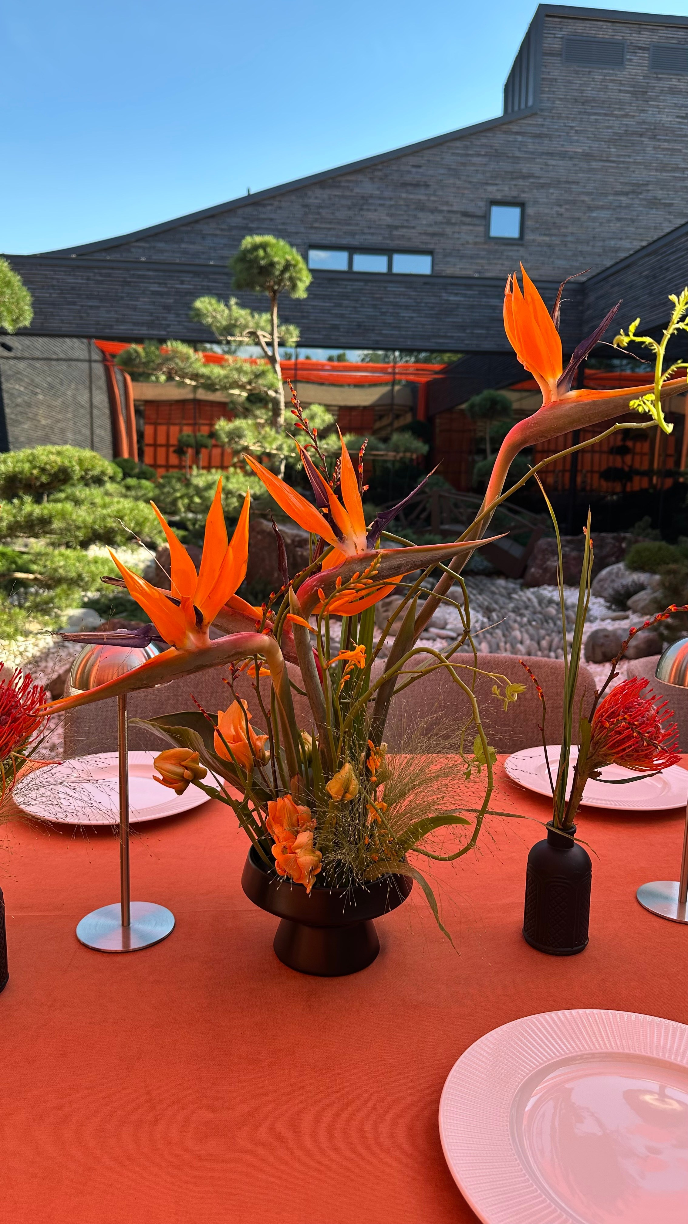 JAPAN | 25.07.2025 | г. Москва, Лужники. МашаШарики | Декоратор | Москва