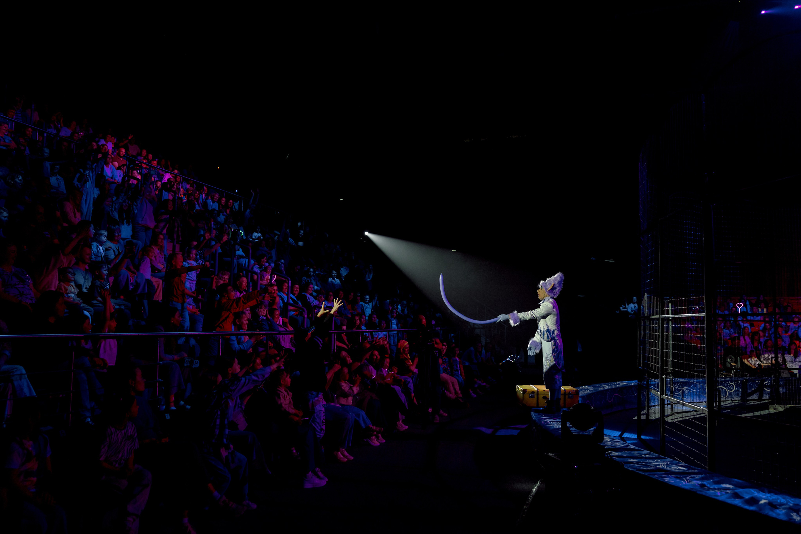 Цирк Moretti в Иркутске. Свадебный фотограф Иркутск, репортажный фотограф Иркутск