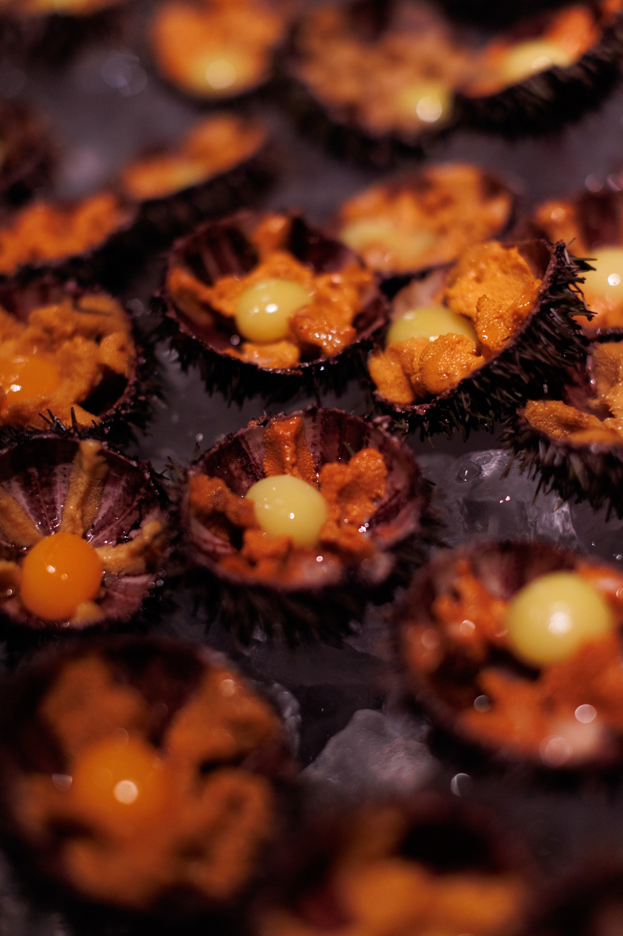 New Year Подружки 23/2024. Свадебный, портретный и репортажный фотограф Дмитрий Карпов