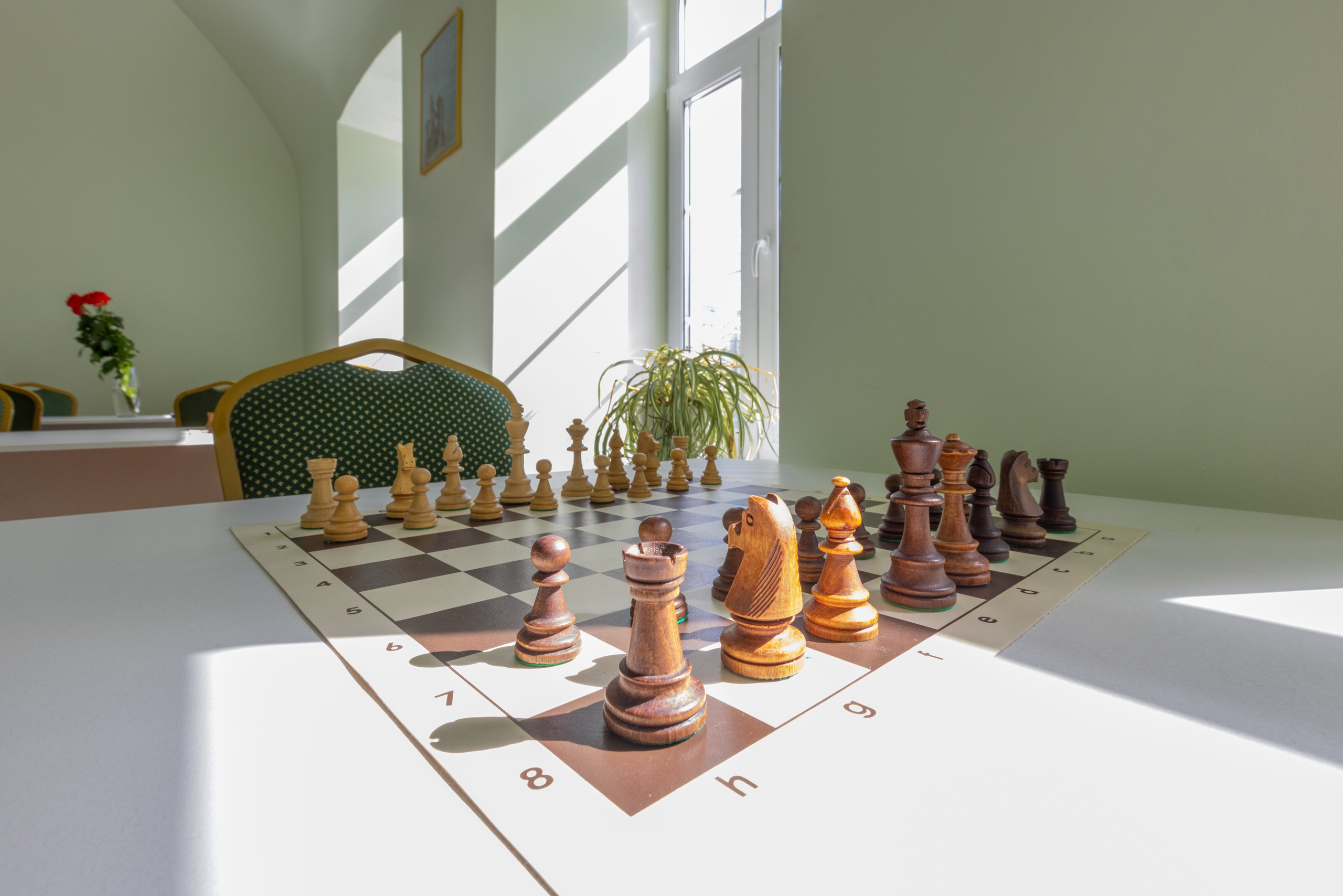 Шахматная гостинная. Фотограф в Туле Крупский АнДРей. Фотостудия «КАДР71» в Туле